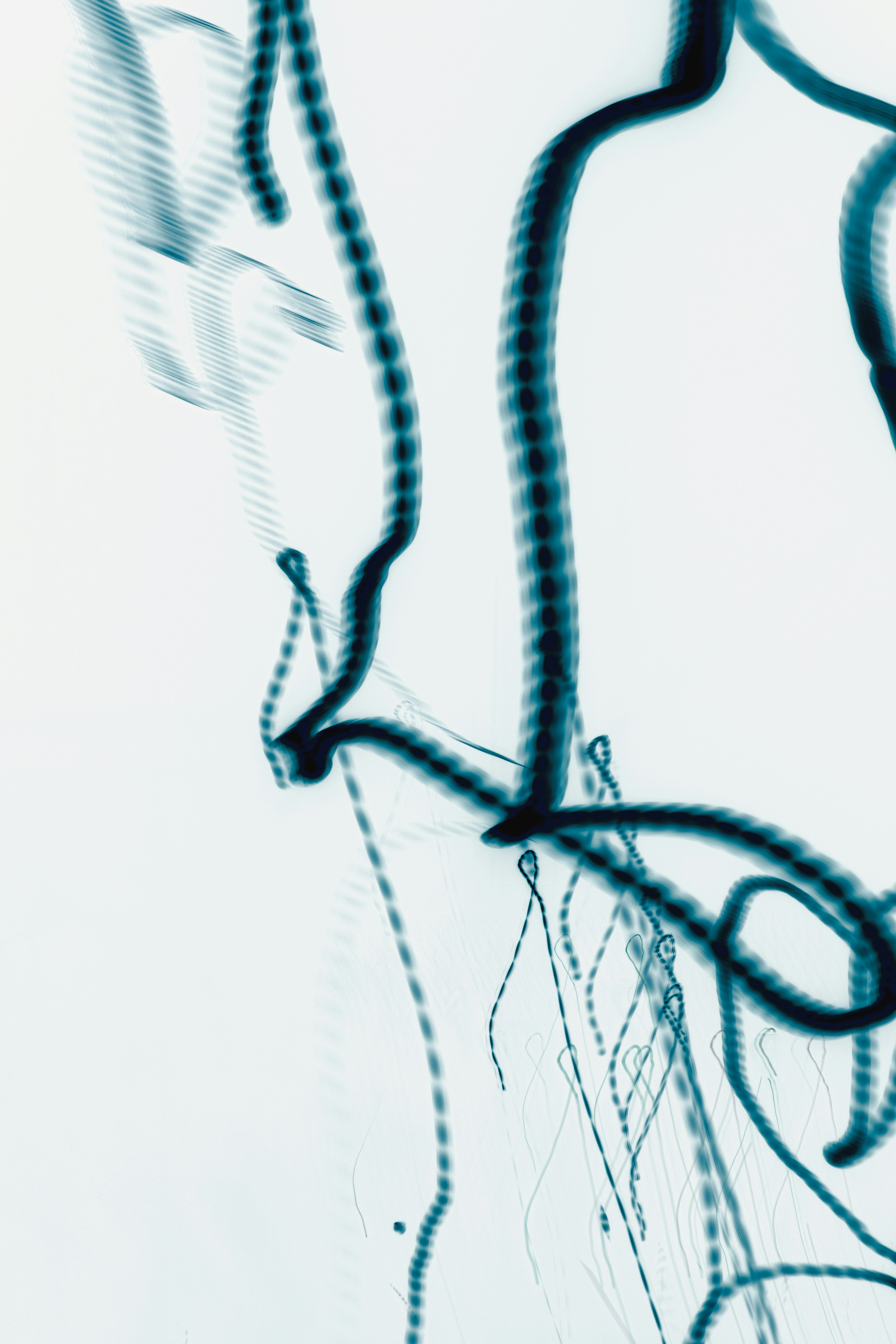 Photo by mahdibafande