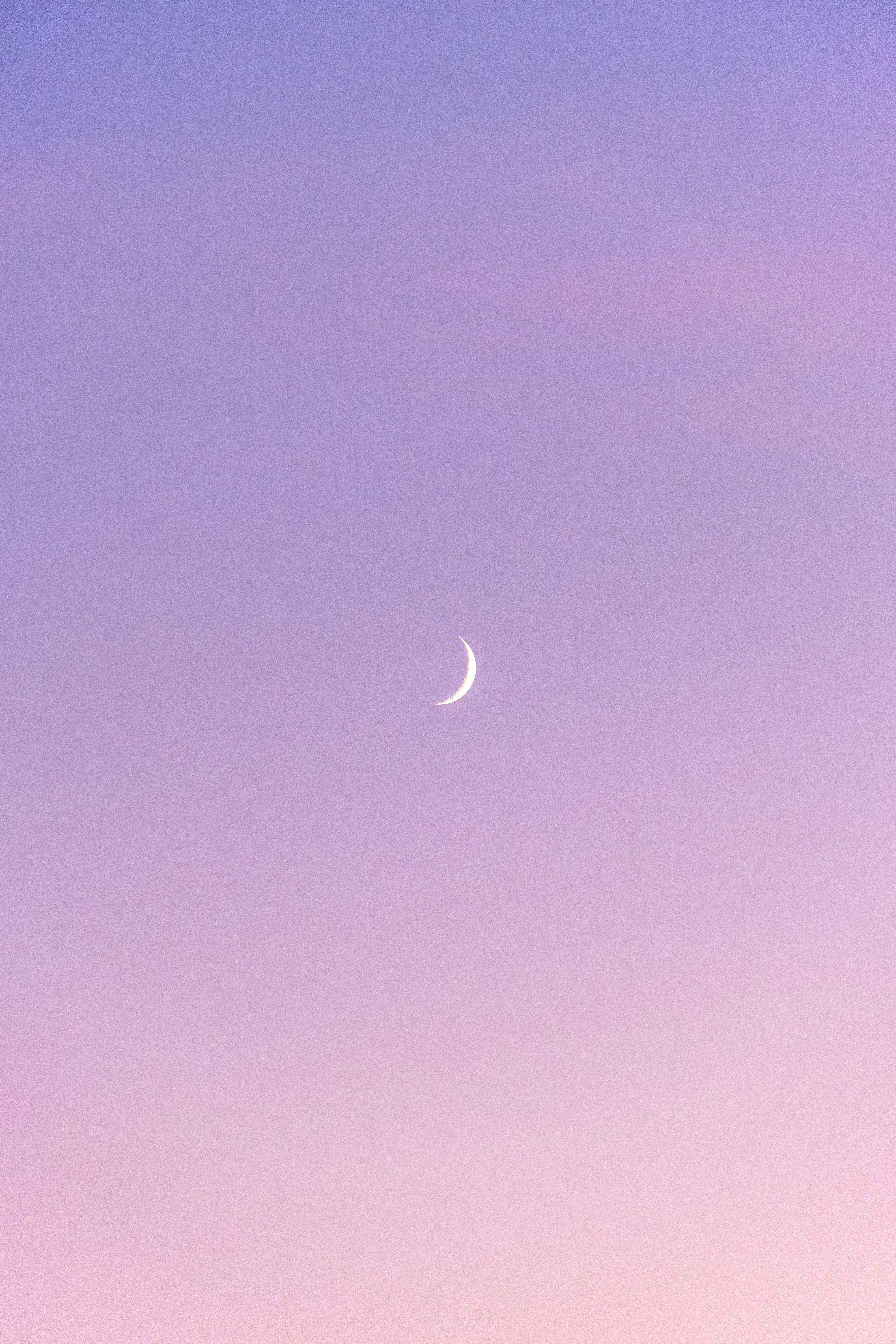 Photo by bubgraphics