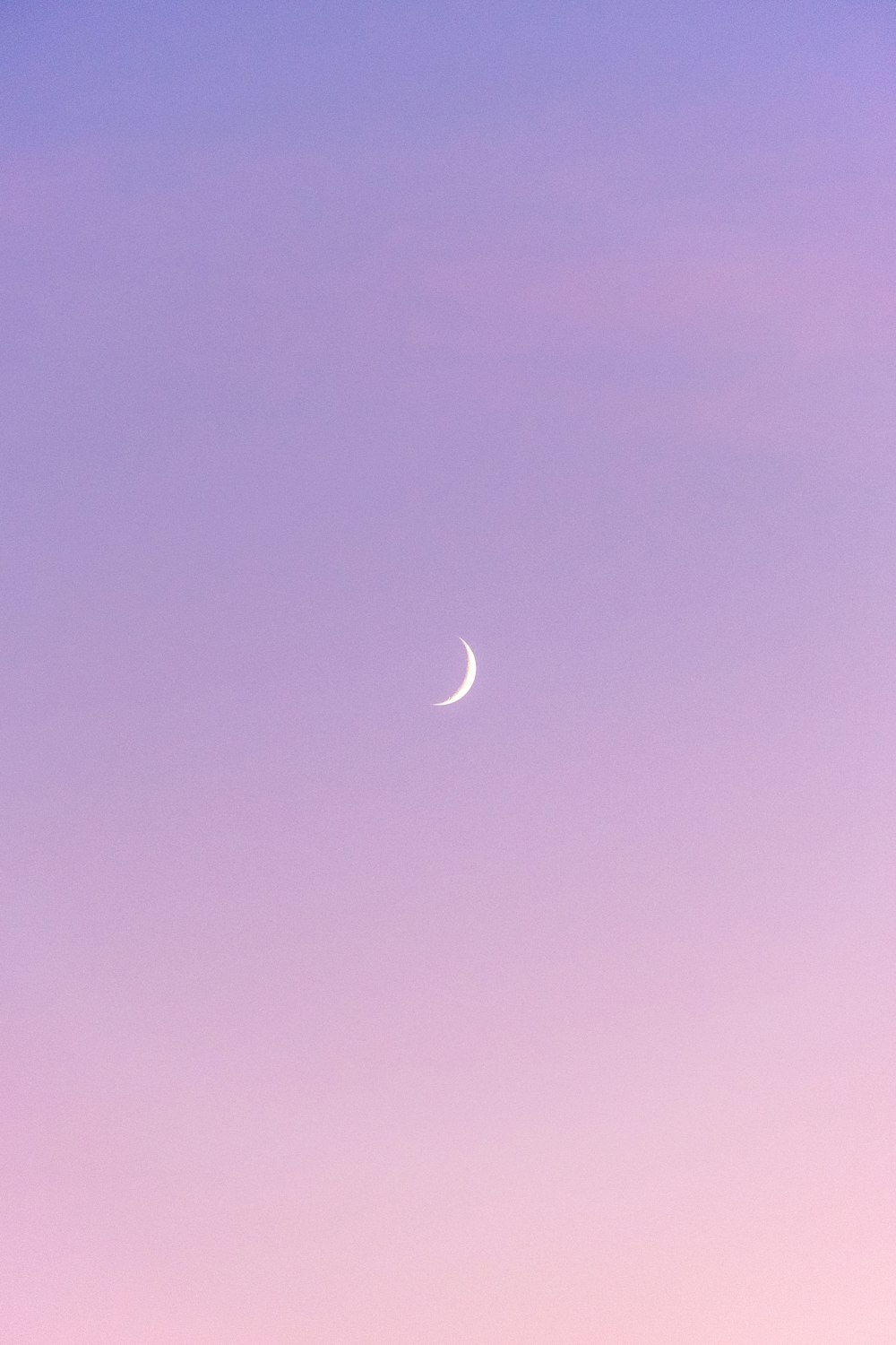 the moon is visible in the purple sky