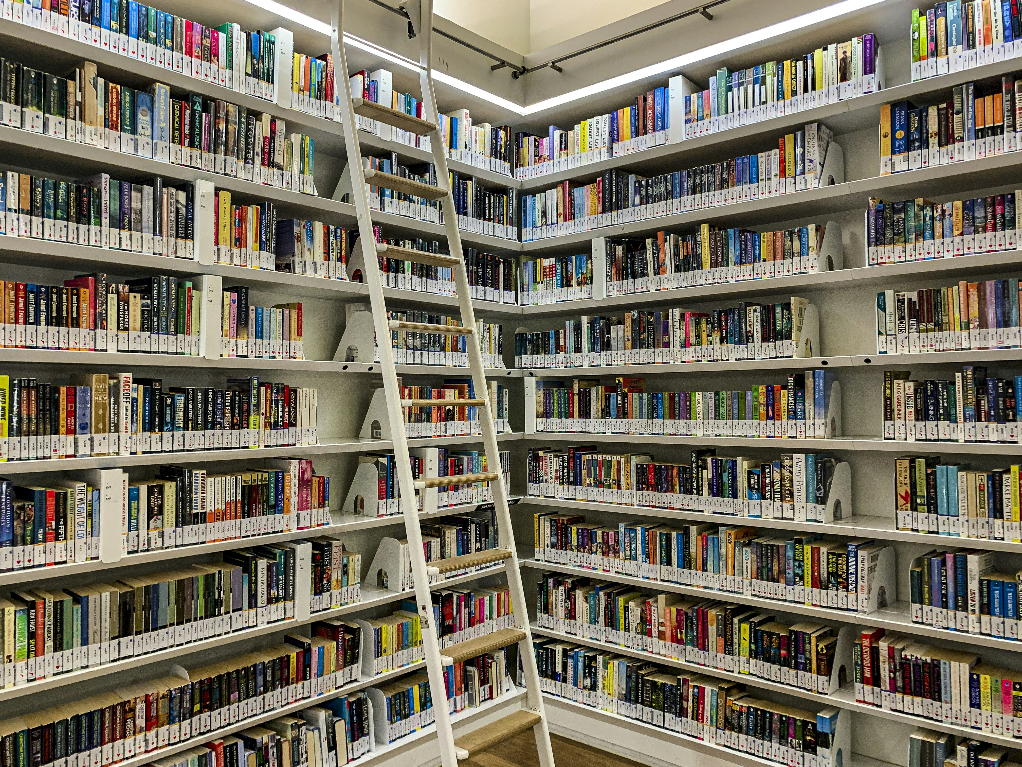 Kütüphanelerin Kültürel Eşitlik ve Fırsat Erişimine Katkısı