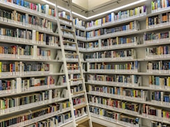 A library with rows of bookshelves filled with a variety of books organized by genre and author. A movable ladder provides access to books on higher shelves. The well-lit space has a clean and organized appearance.