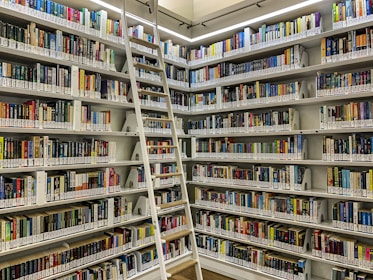 A library with rows of bookshelves filled with a variety of books organized by genre and author. A movable ladder provides access to books on higher shelves. The well-lit space has a clean and organized appearance.
