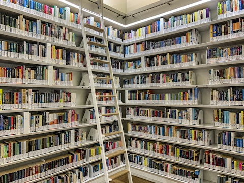 A library with rows of bookshelves filled with a variety of books organized by genre and author. A movable ladder provides access to books on higher shelves. The well-lit space has a clean and organized appearance.