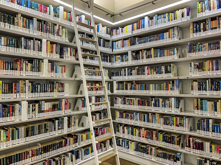 A library with rows of bookshelves filled with a variety of books organized by genre and author. A movable ladder provides access to books on higher shelves. The well-lit space has a clean and organized appearance.