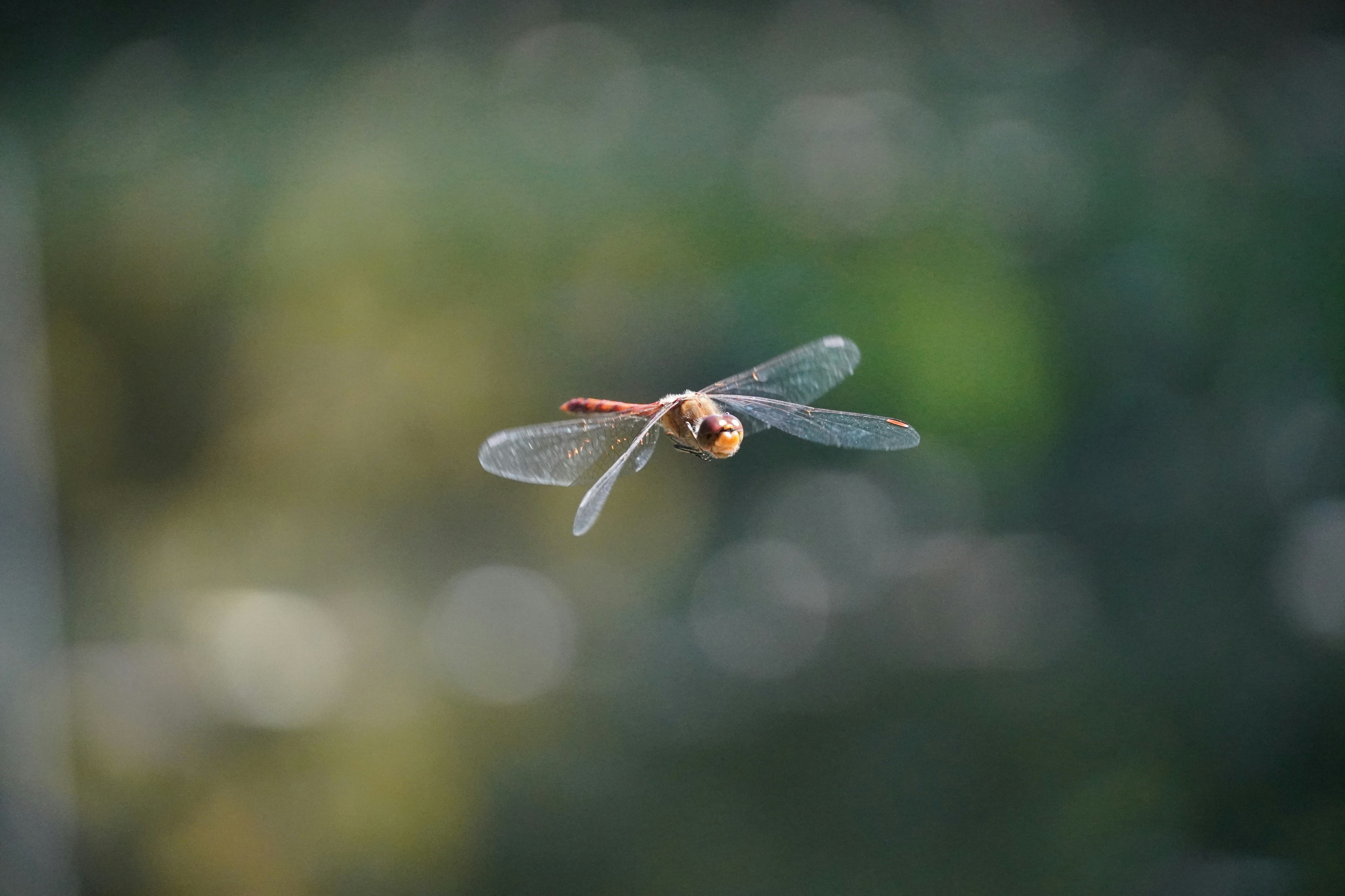 Photo by theodor_jacob