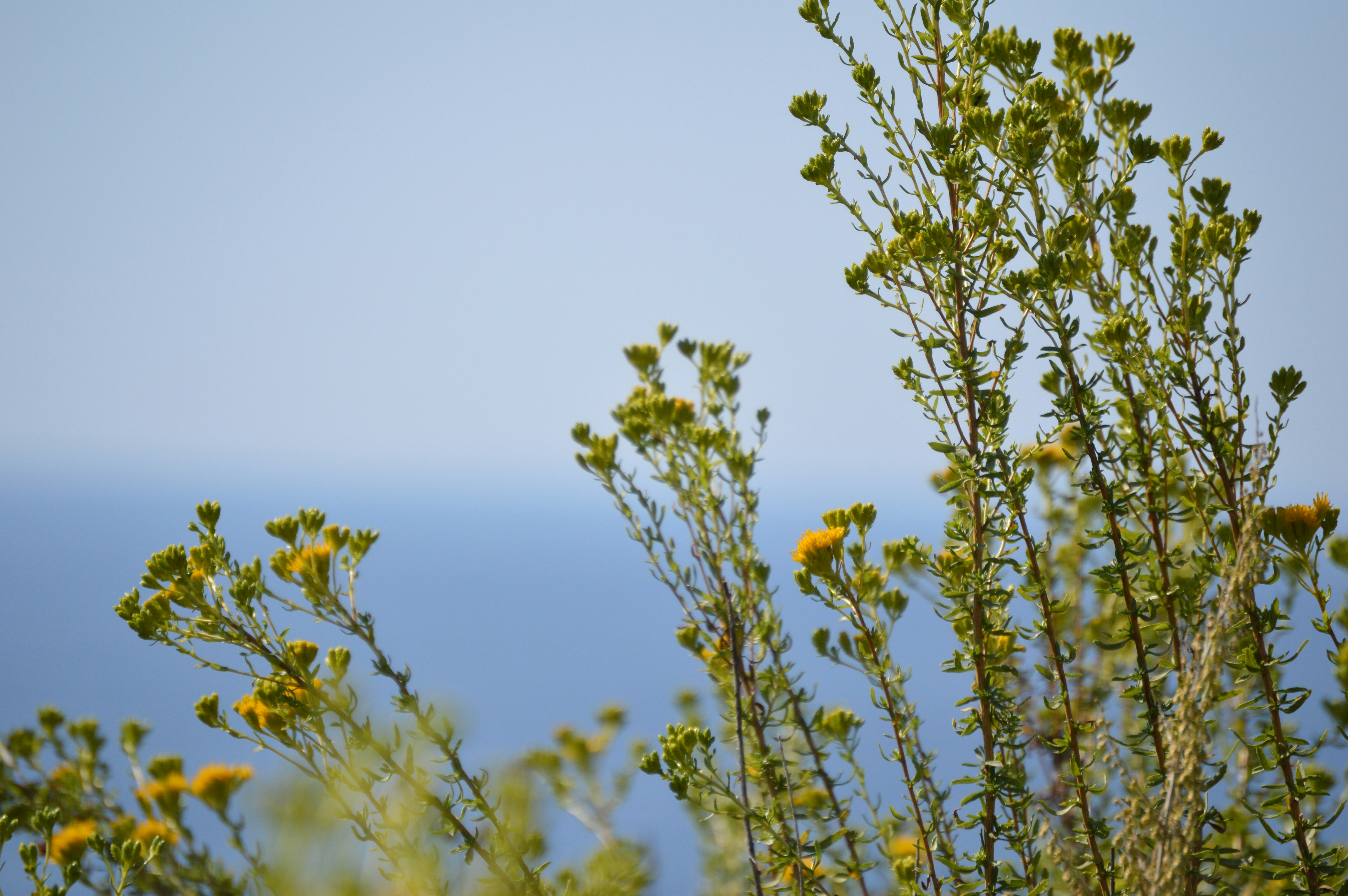 Photo by jellysoupcreative