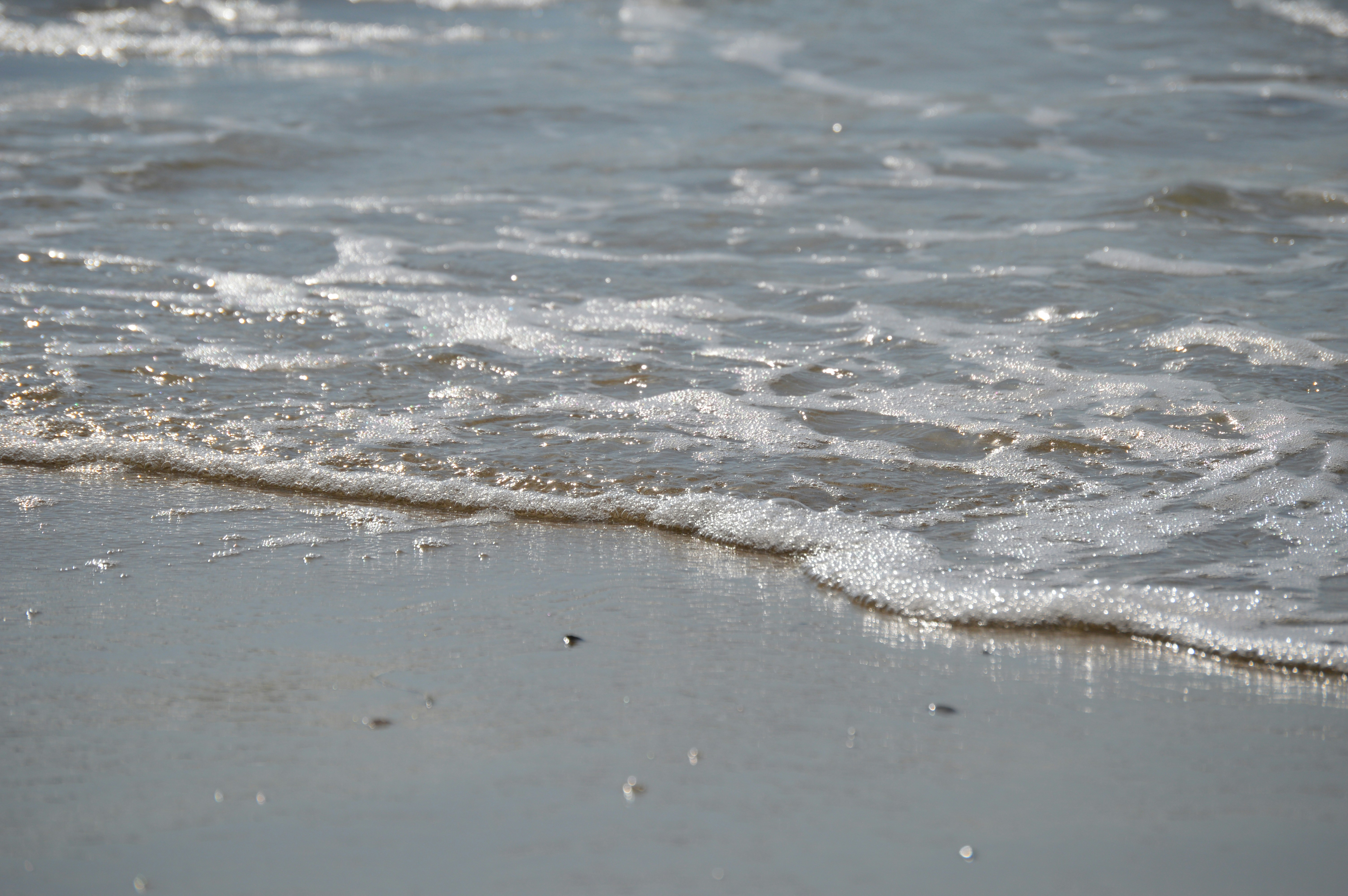 Photo by jellysoupcreative