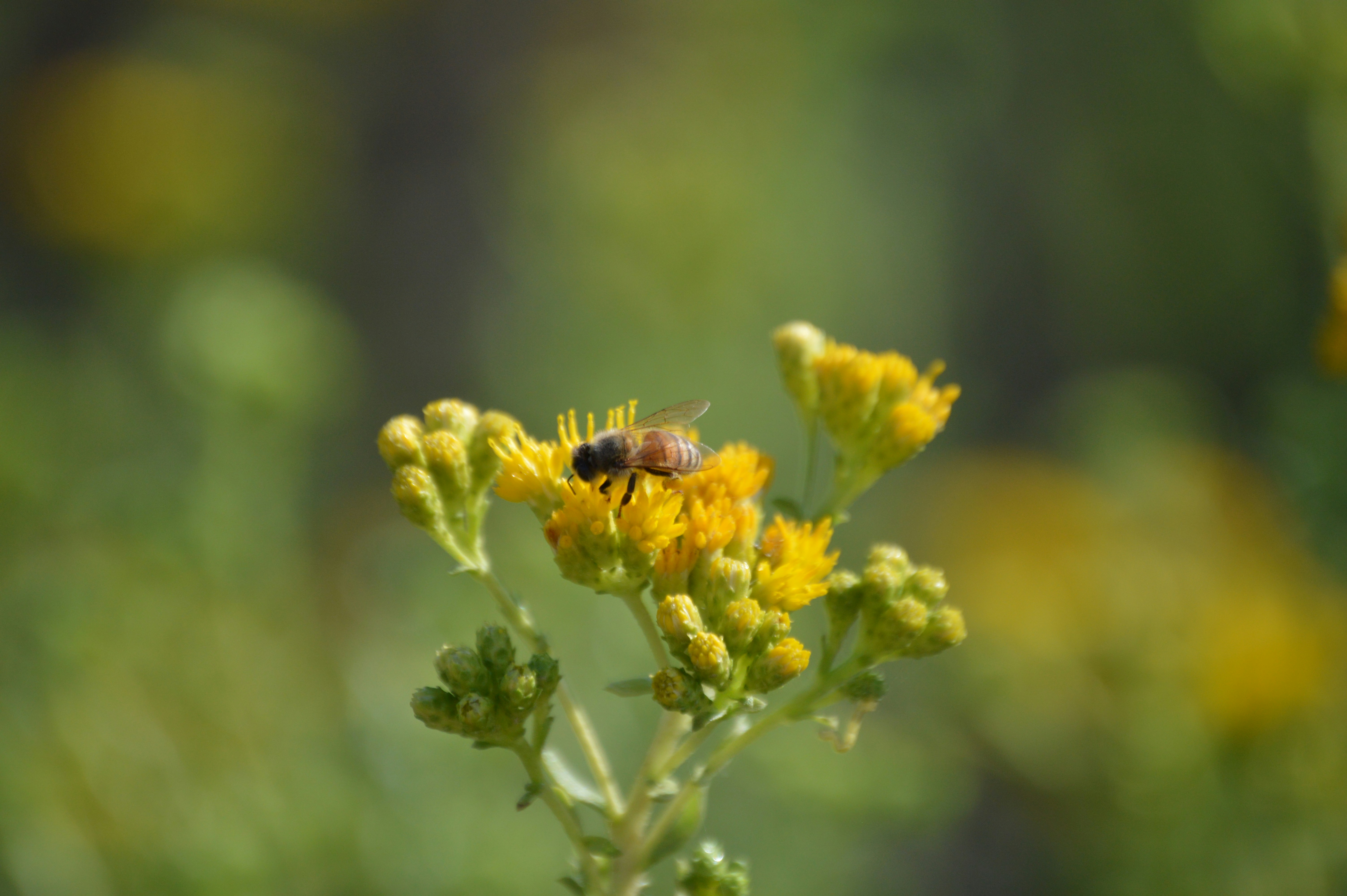 Photo by jellysoupcreative