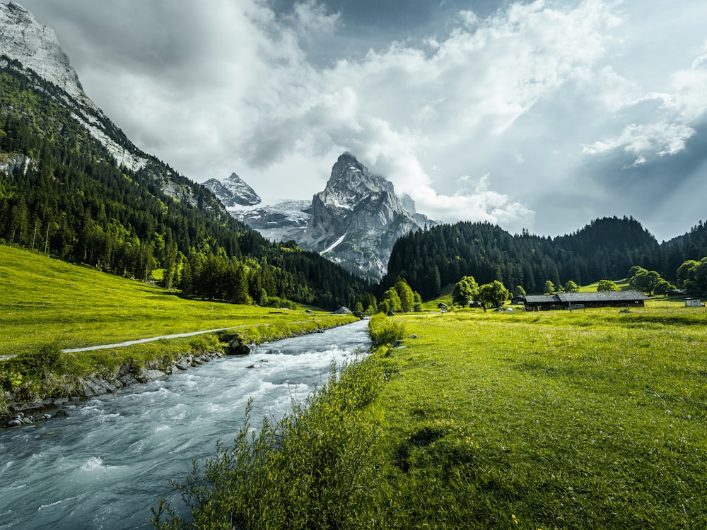 a stream running through a lush green valley