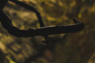 Detailed shot of a weathered copper hook used as a divider icon, set against a burnt orange background.