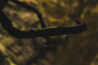 Detailed shot of a weathered copper hook used as a divider icon, set against a burnt orange background.