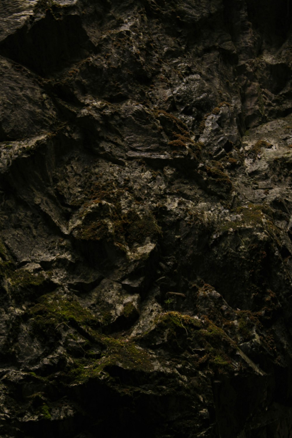 a bird is perched on a rock wall