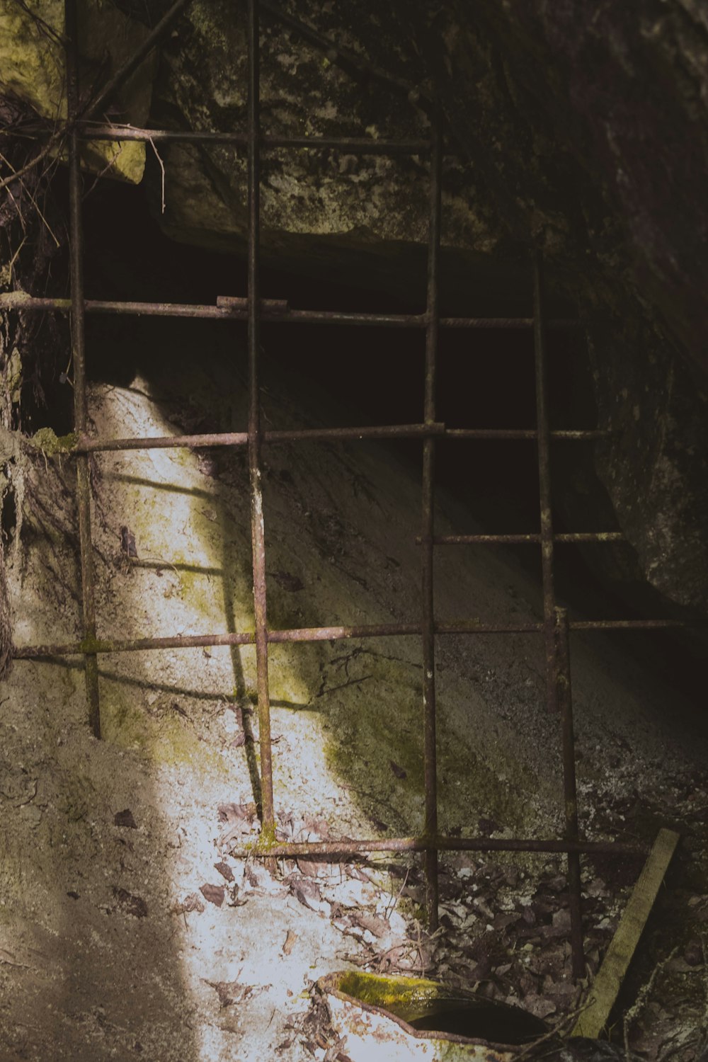 a wooden ladder sitting in the middle of a cave