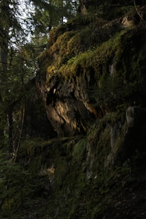 An atmospheric game environment featuring lush forests and dynamic lighting effects crafted by wormani.