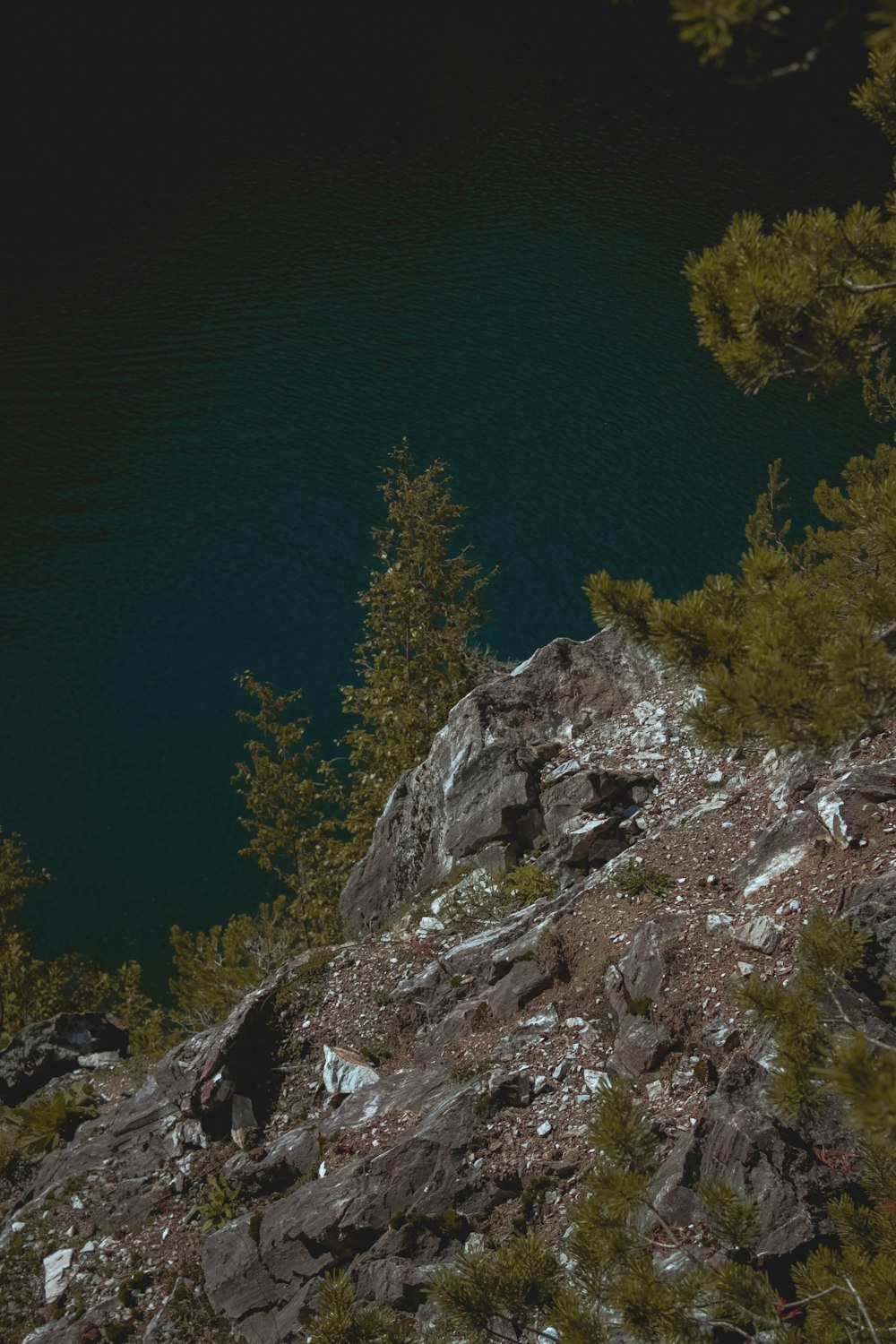 un oso negro parado en la cima de una colina rocosa