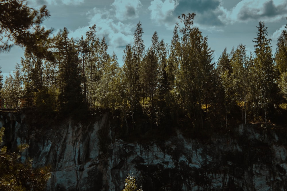 eine Gruppe von Bäumen, die auf einer Klippe sitzen