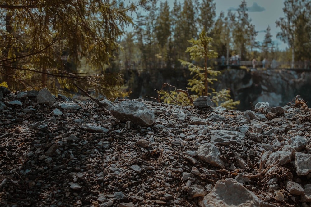 a pile of rocks and gravel with trees in the background