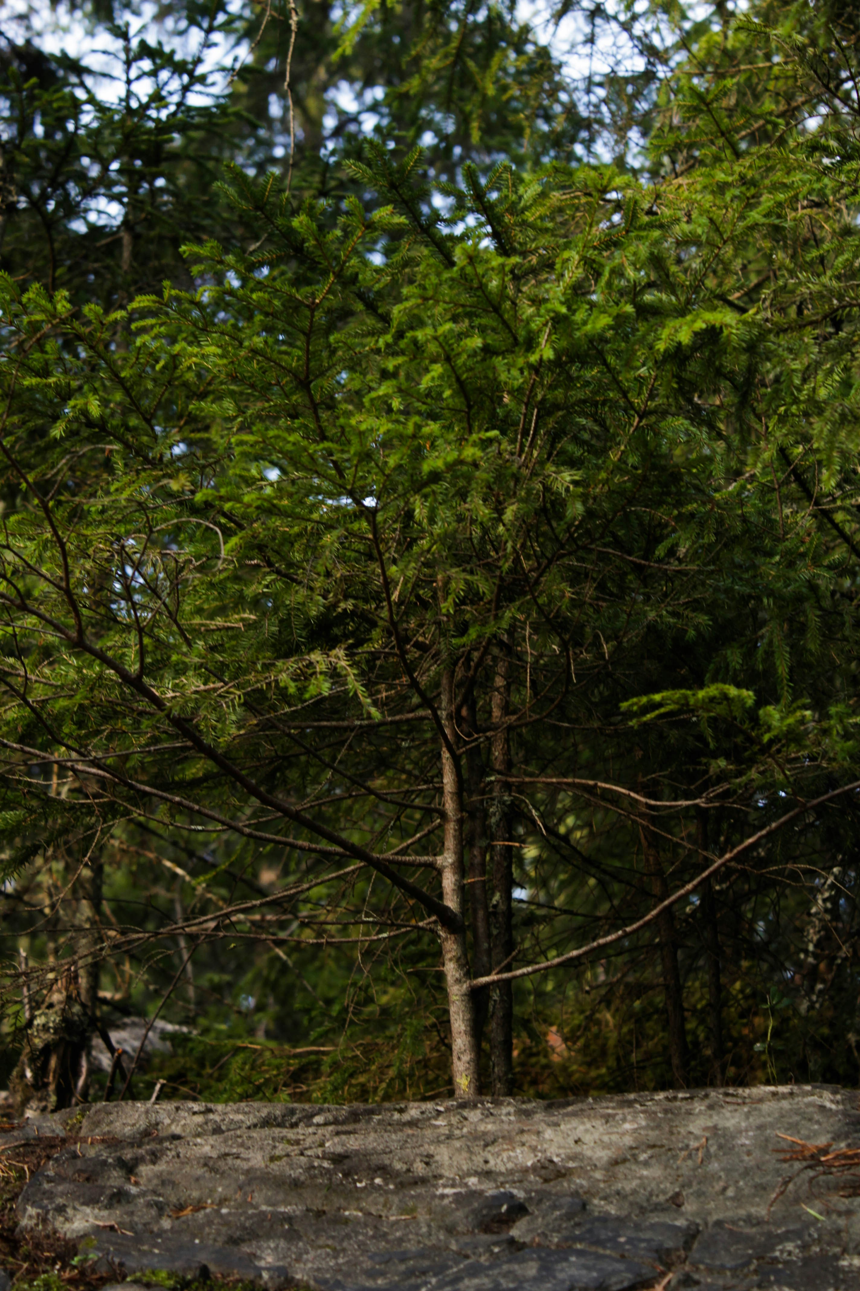 a man riding a snowboard down a snow covered slope
