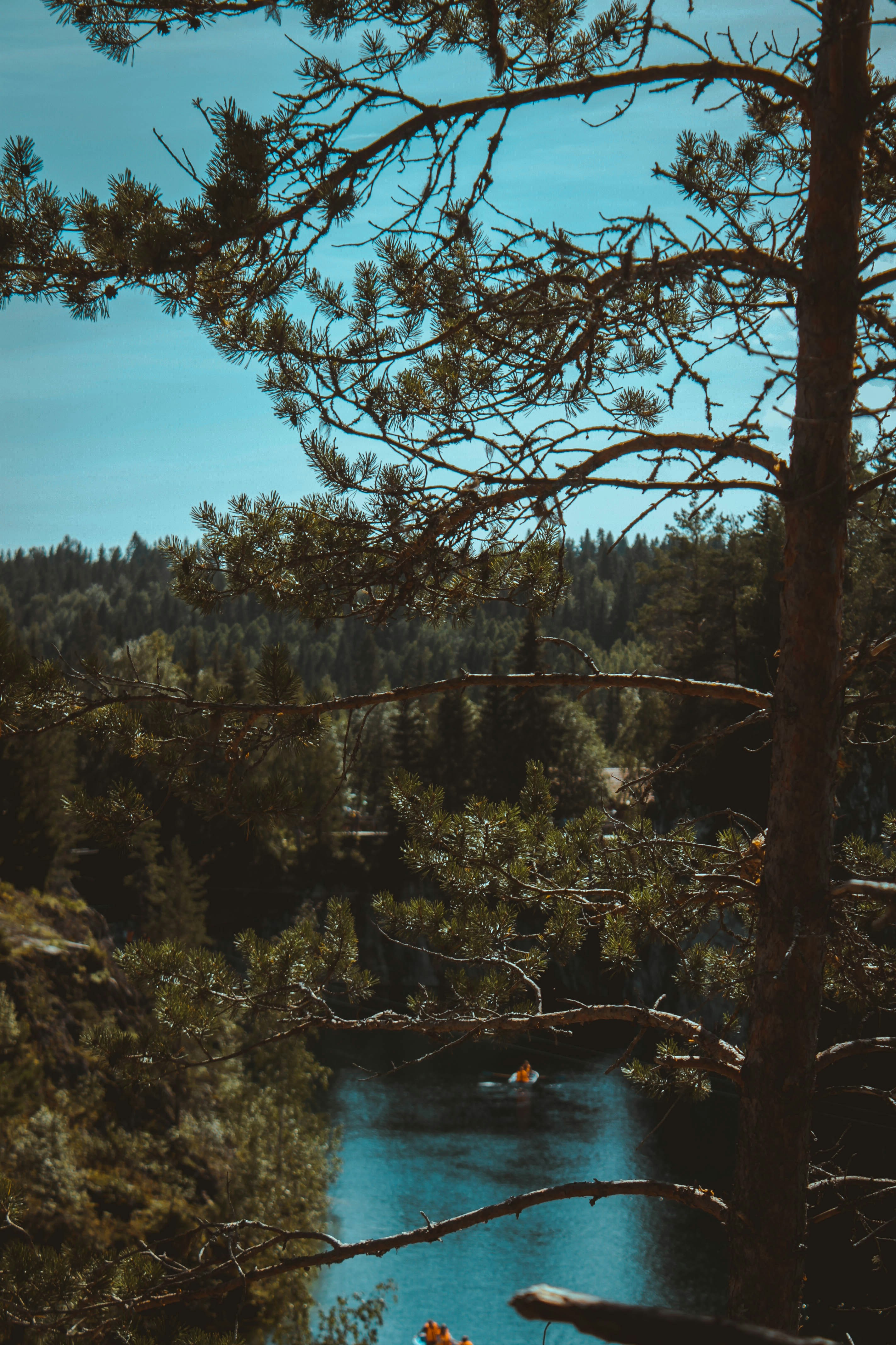a view of a lake through some trees