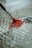 A paintbrush with a metal ferrule and wooden handle is applying red paint onto a textured surface made of bubble wrap, creating an artistic contrast between the smooth paint and bumpy background.