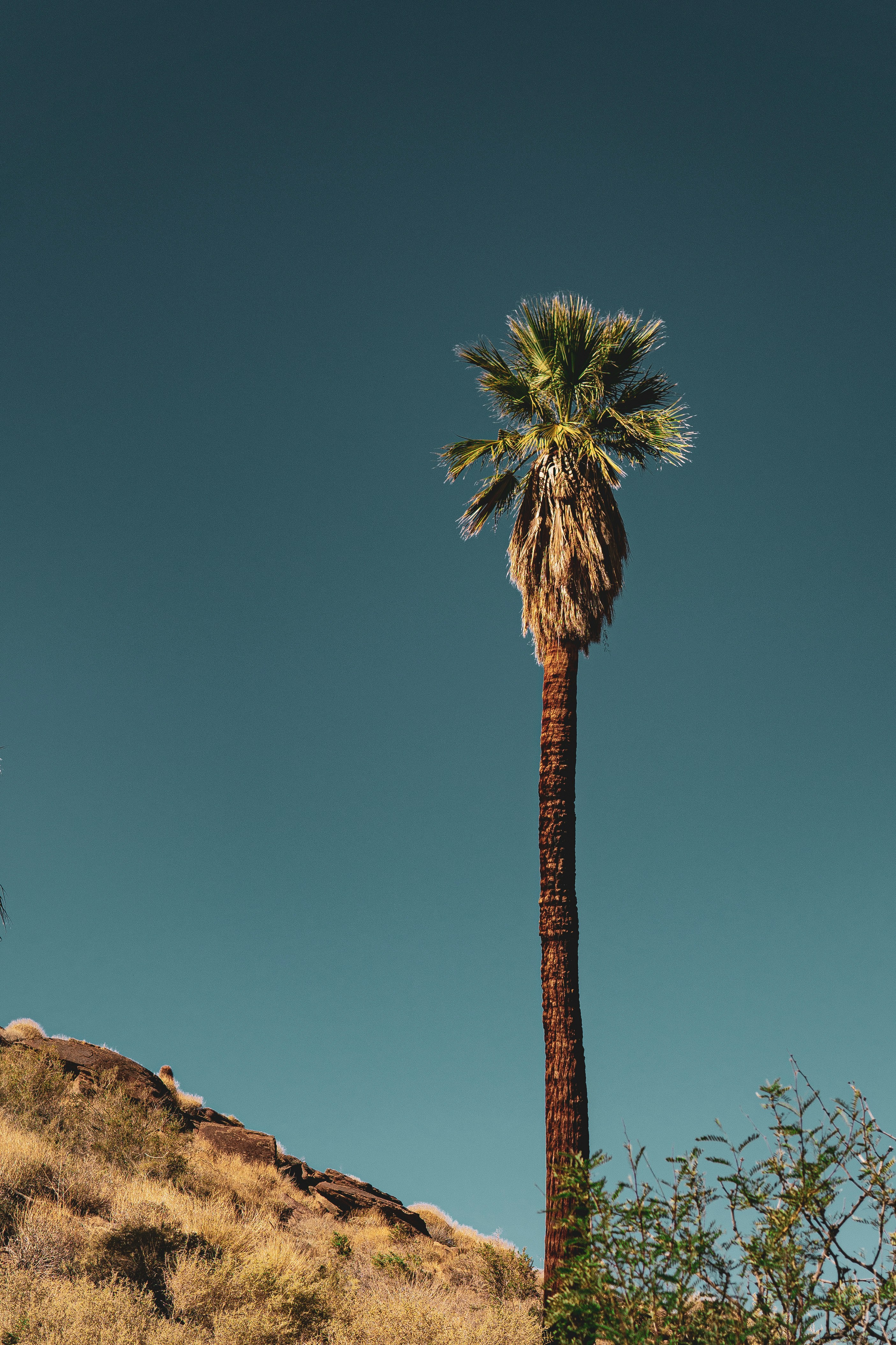 Photo by keepitchassephotography