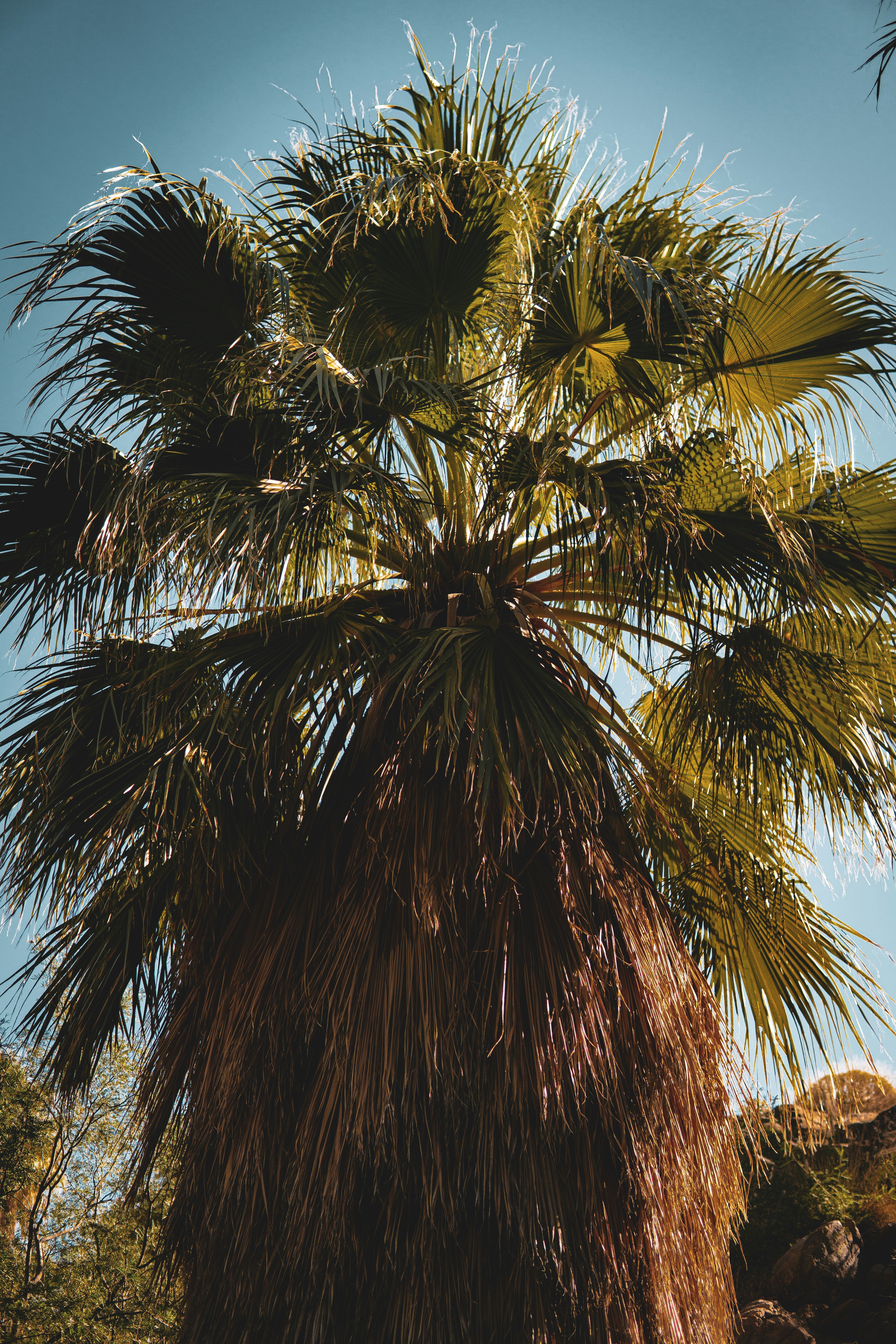 Photo by keepitchassephotography