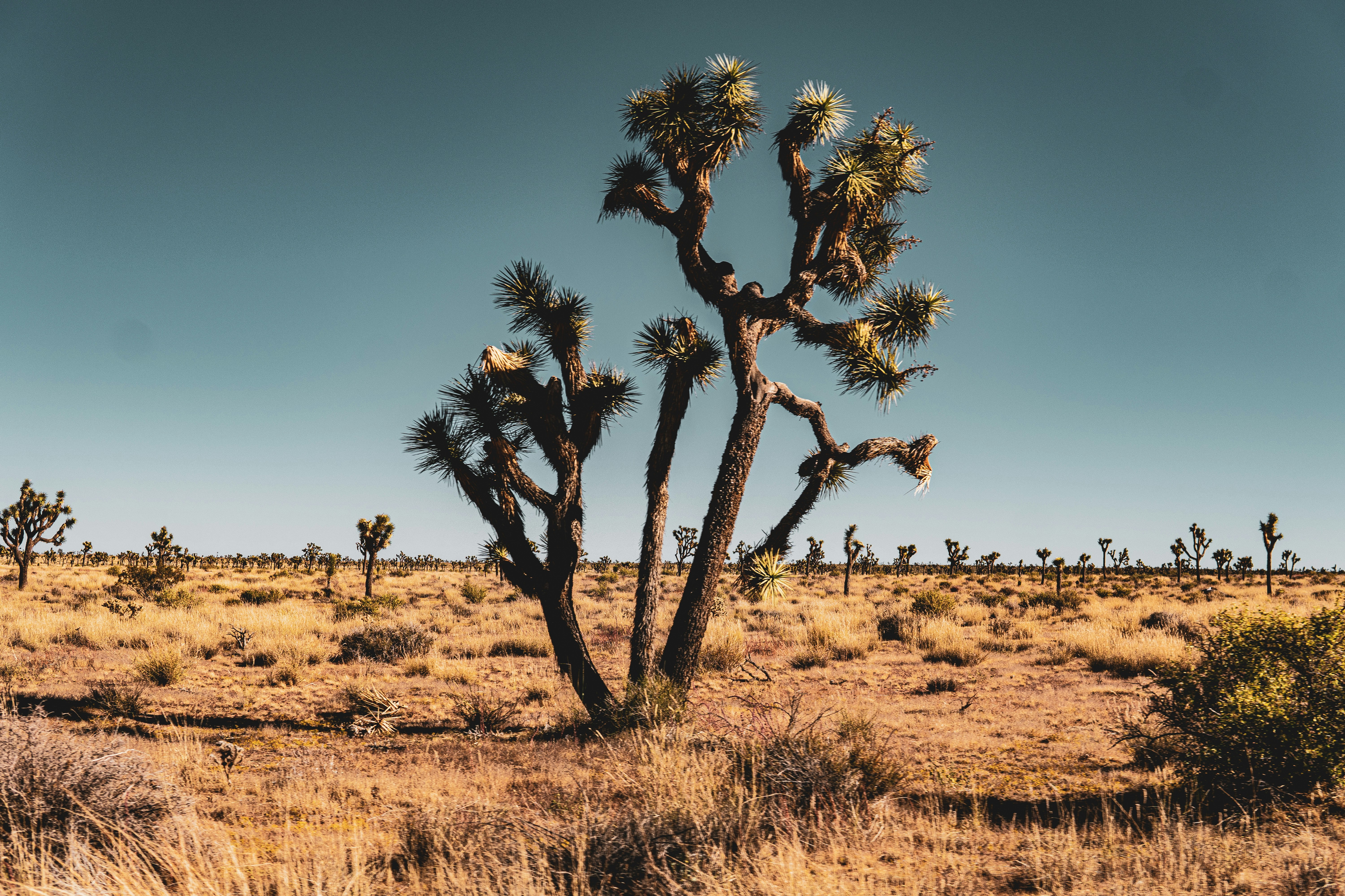 Photo by keepitchassephotography