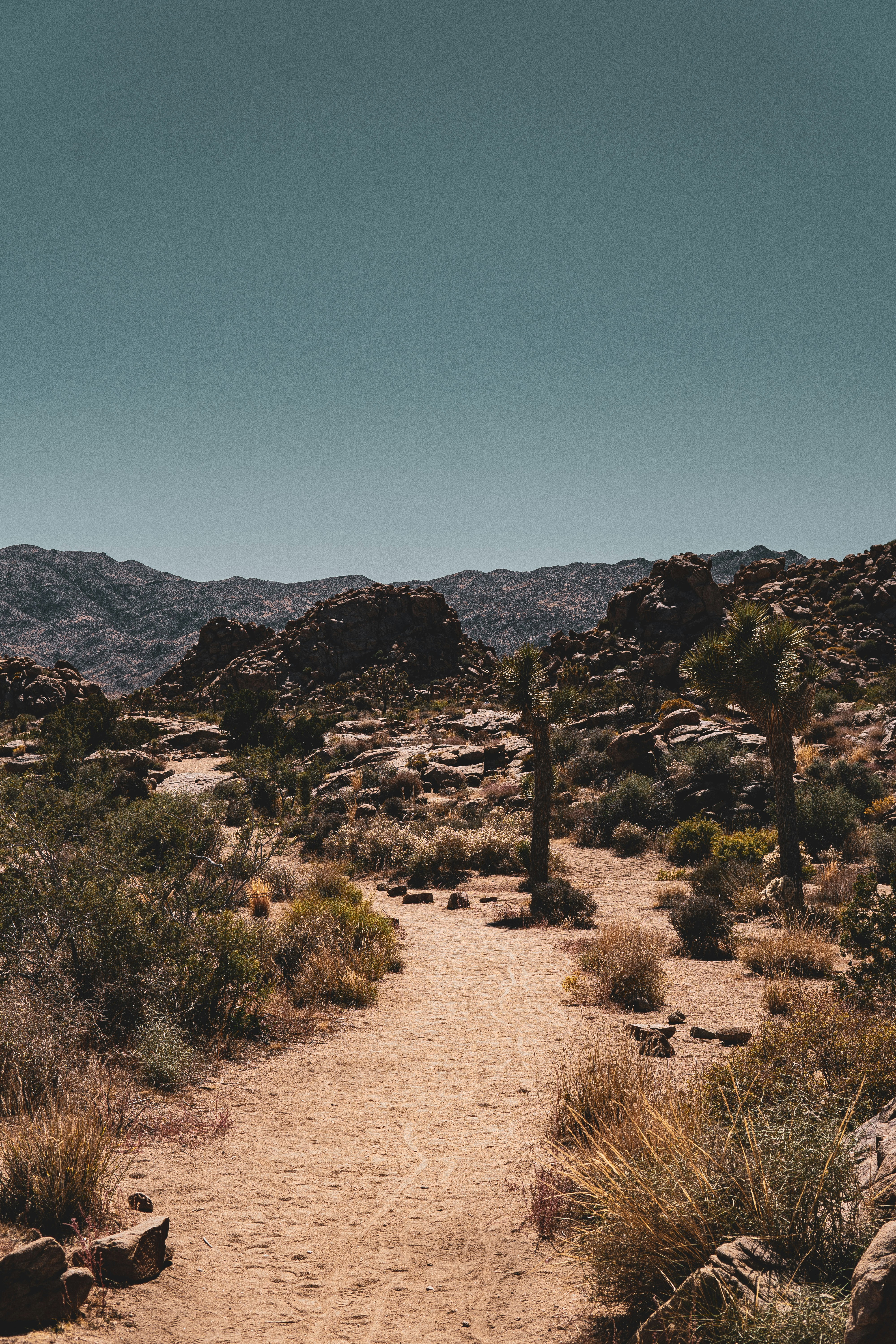 Photo by keepitchassephotography