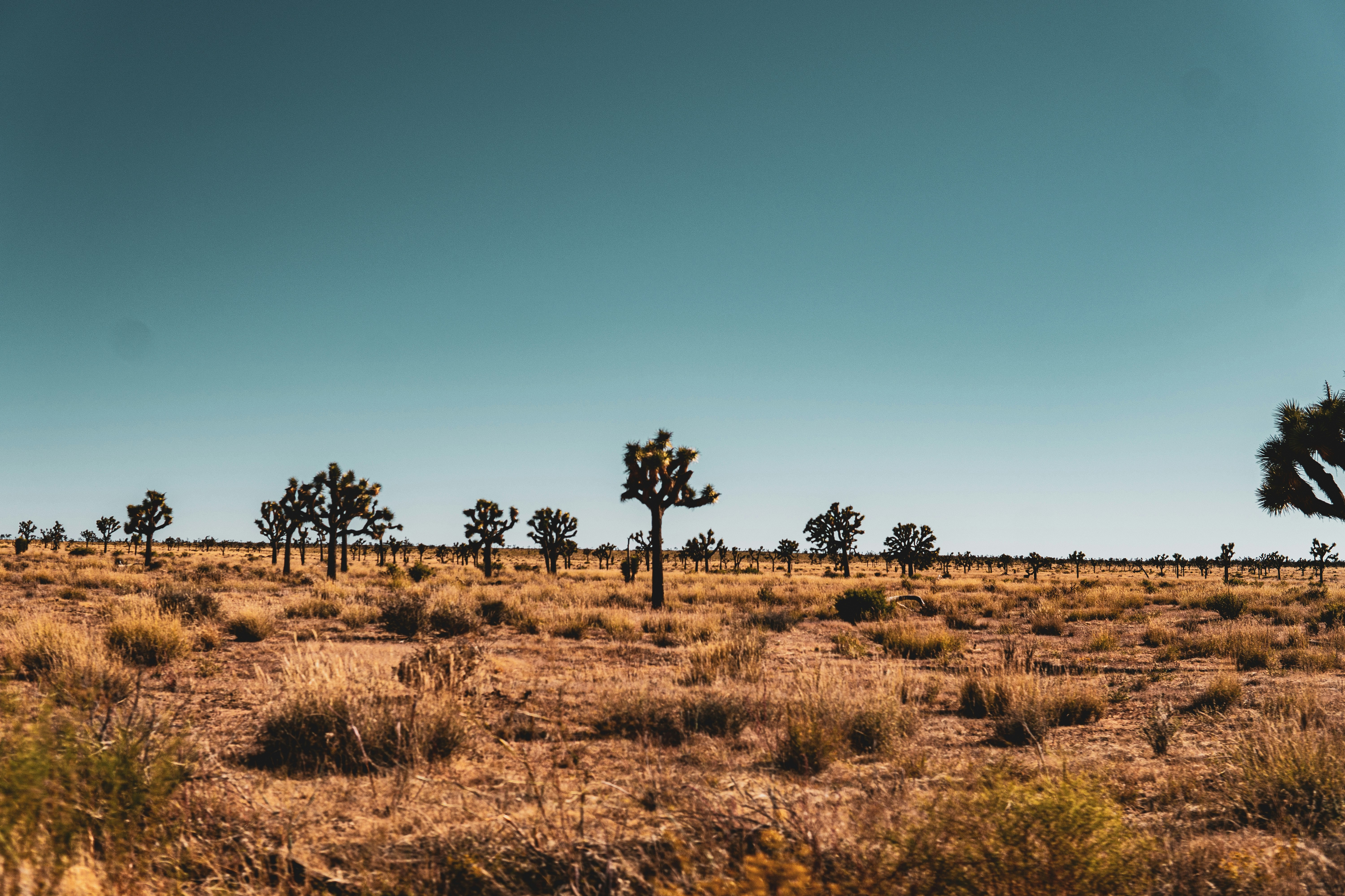 Photo by keepitchassephotography