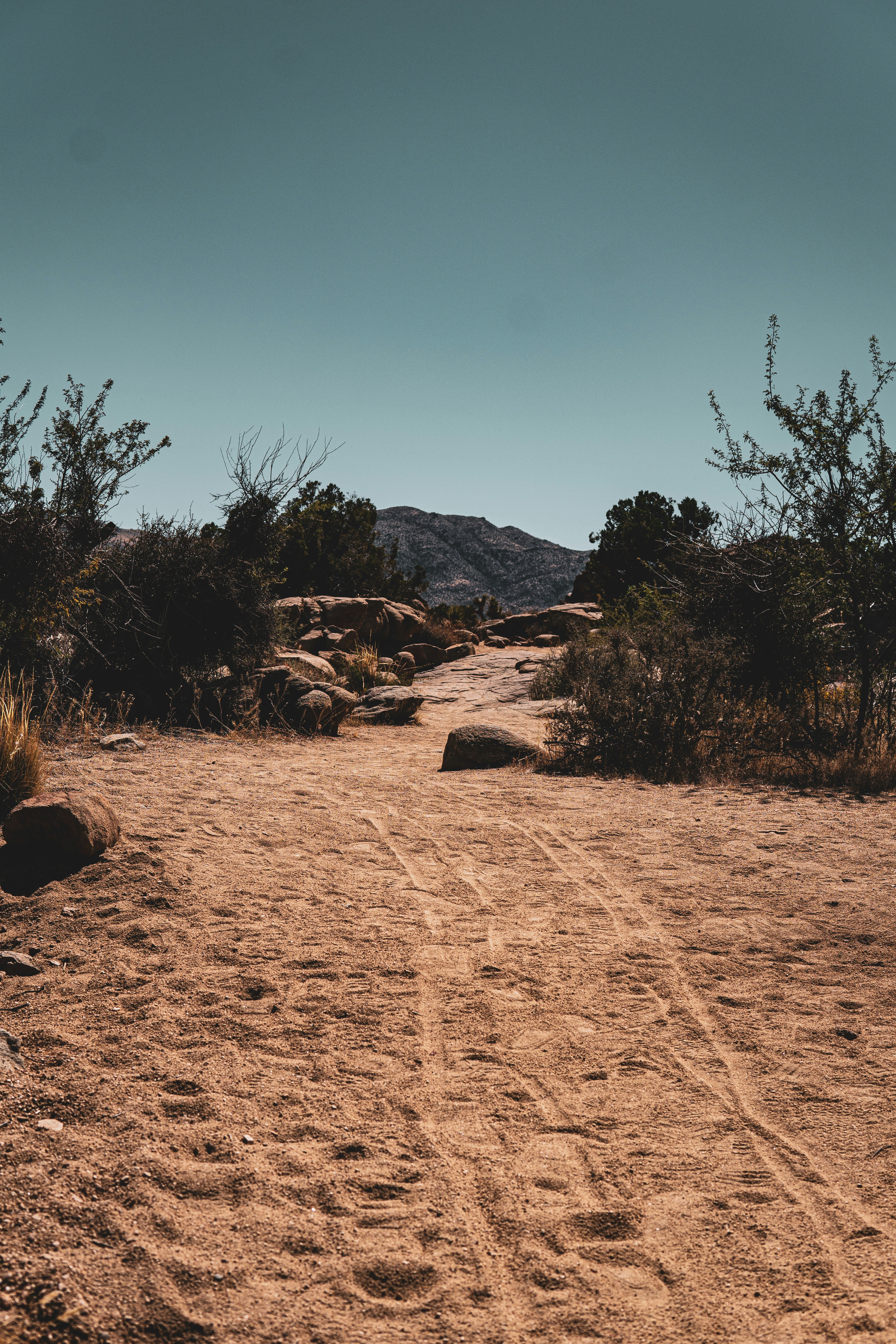 Photo by keepitchassephotography