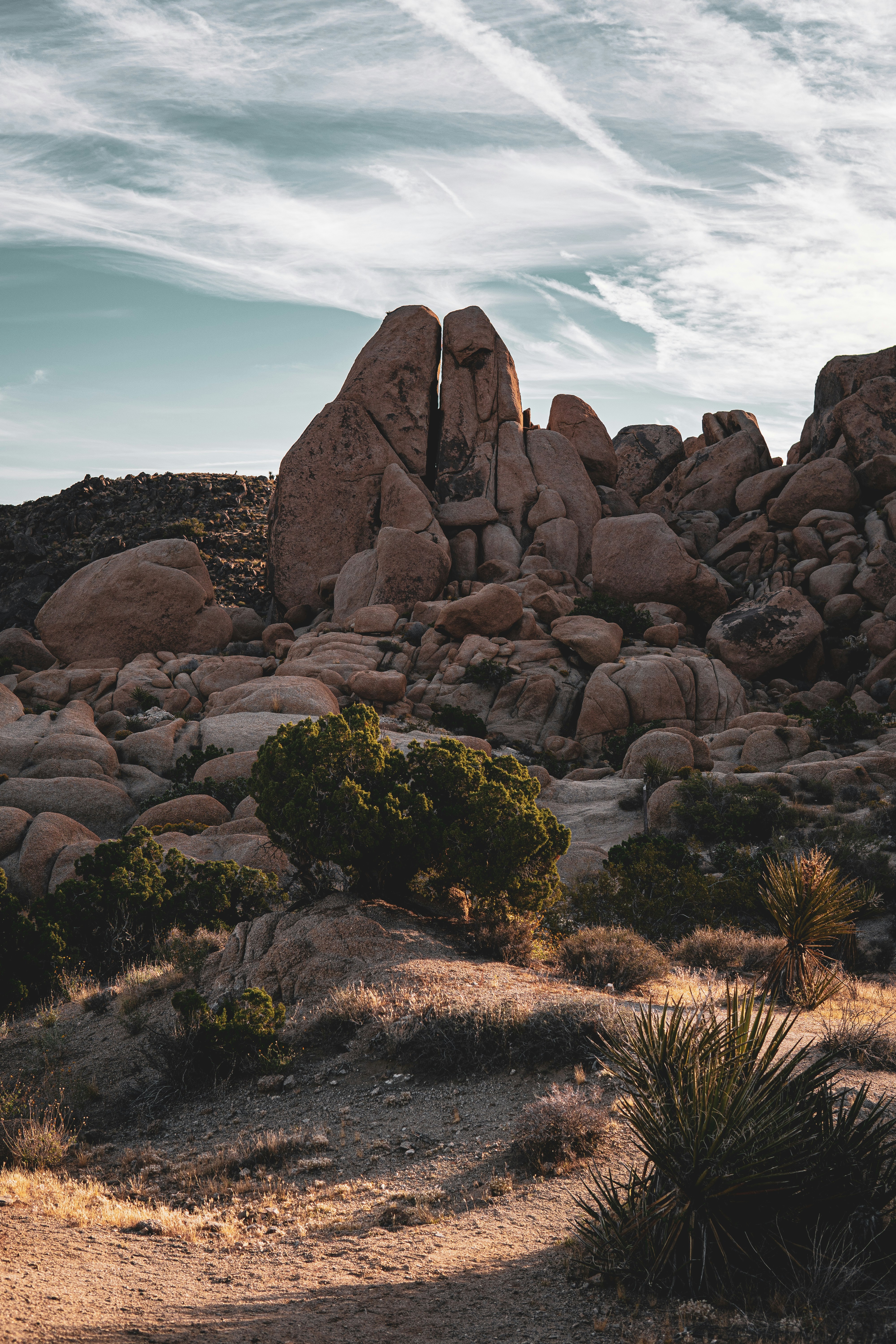 Photo by keepitchassephotography