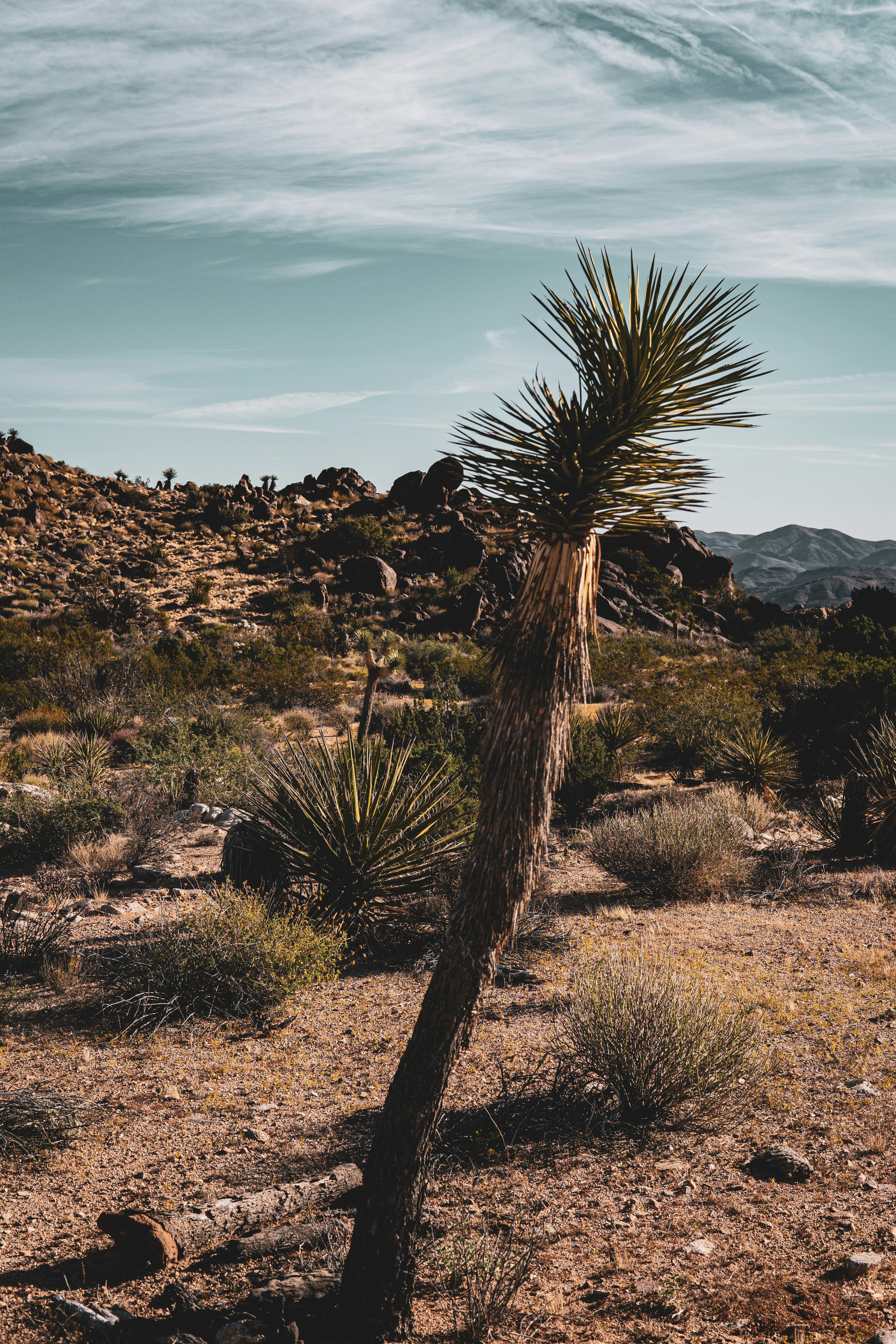 Photo by keepitchassephotography