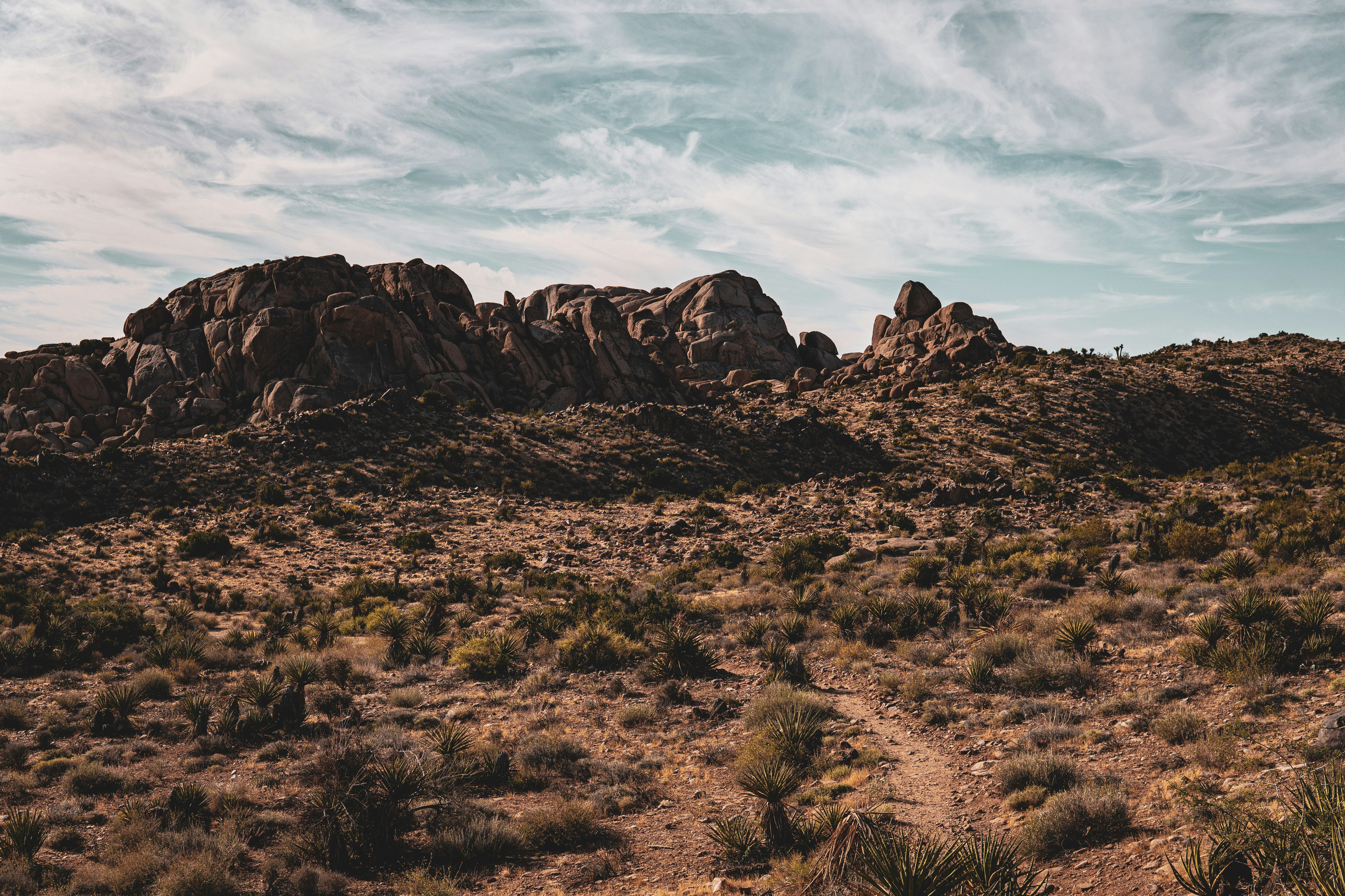 Photo by keepitchassephotography