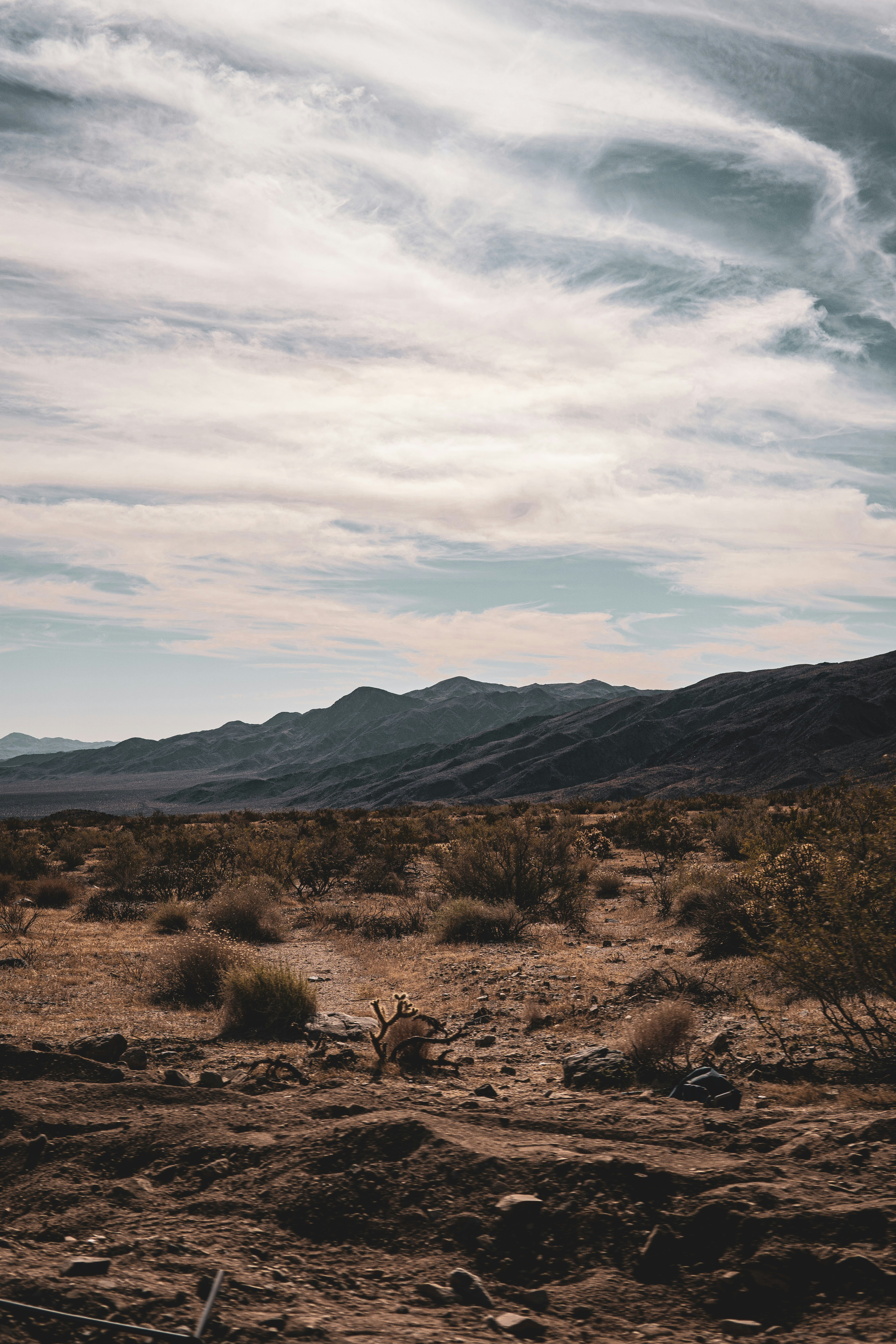 Photo by keepitchassephotography