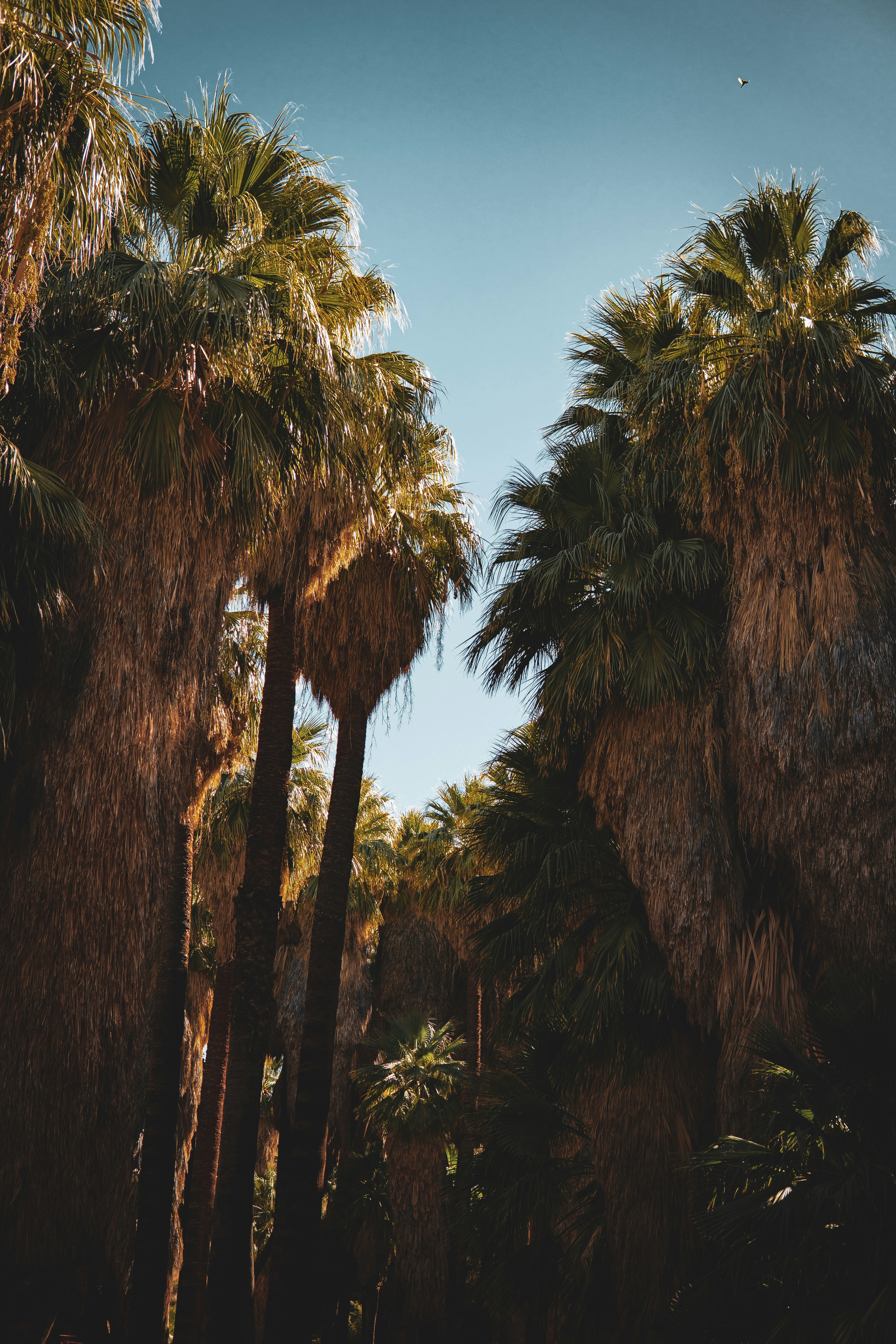 Photo by keepitchassephotography