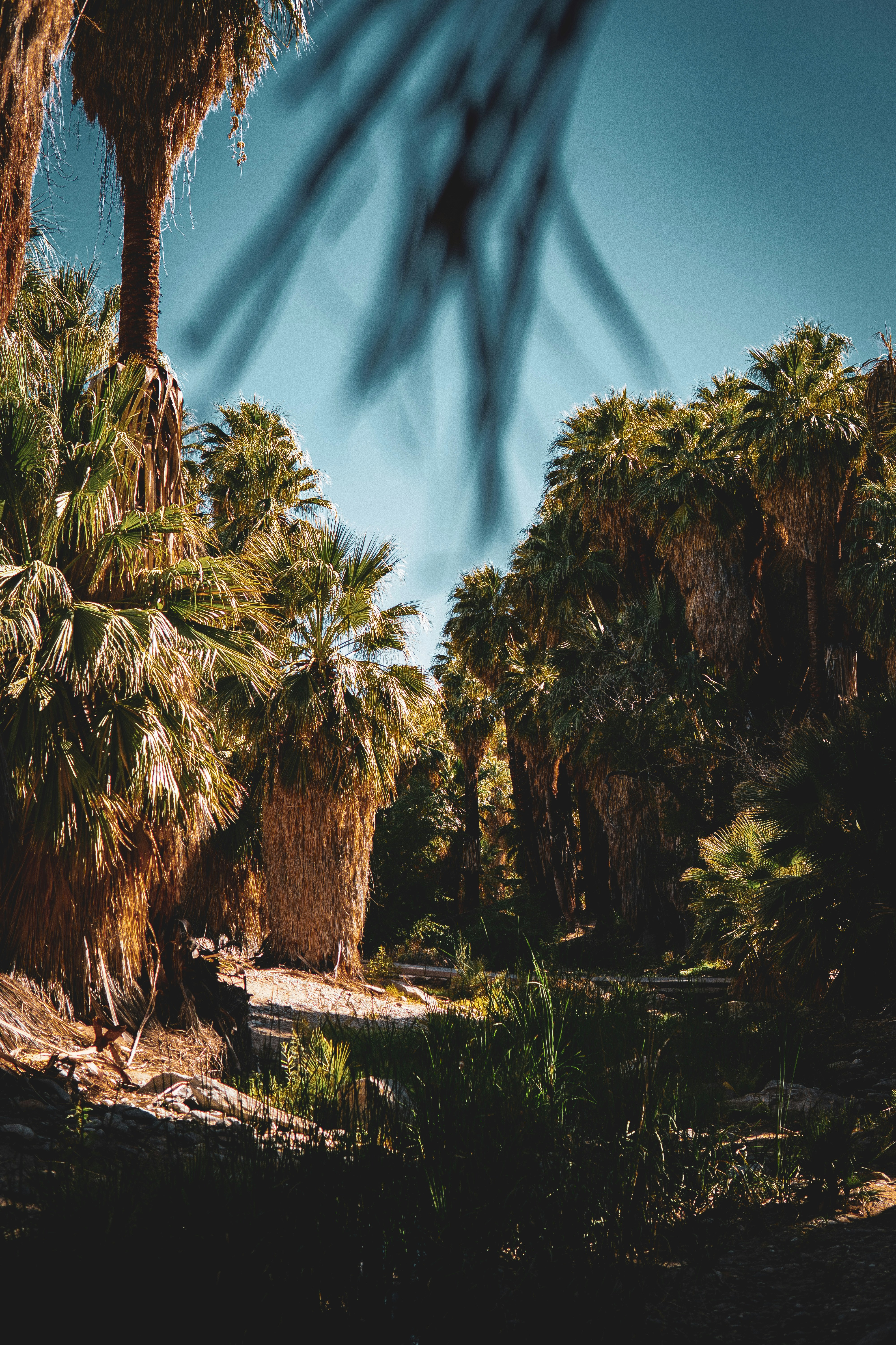 Photo by keepitchassephotography