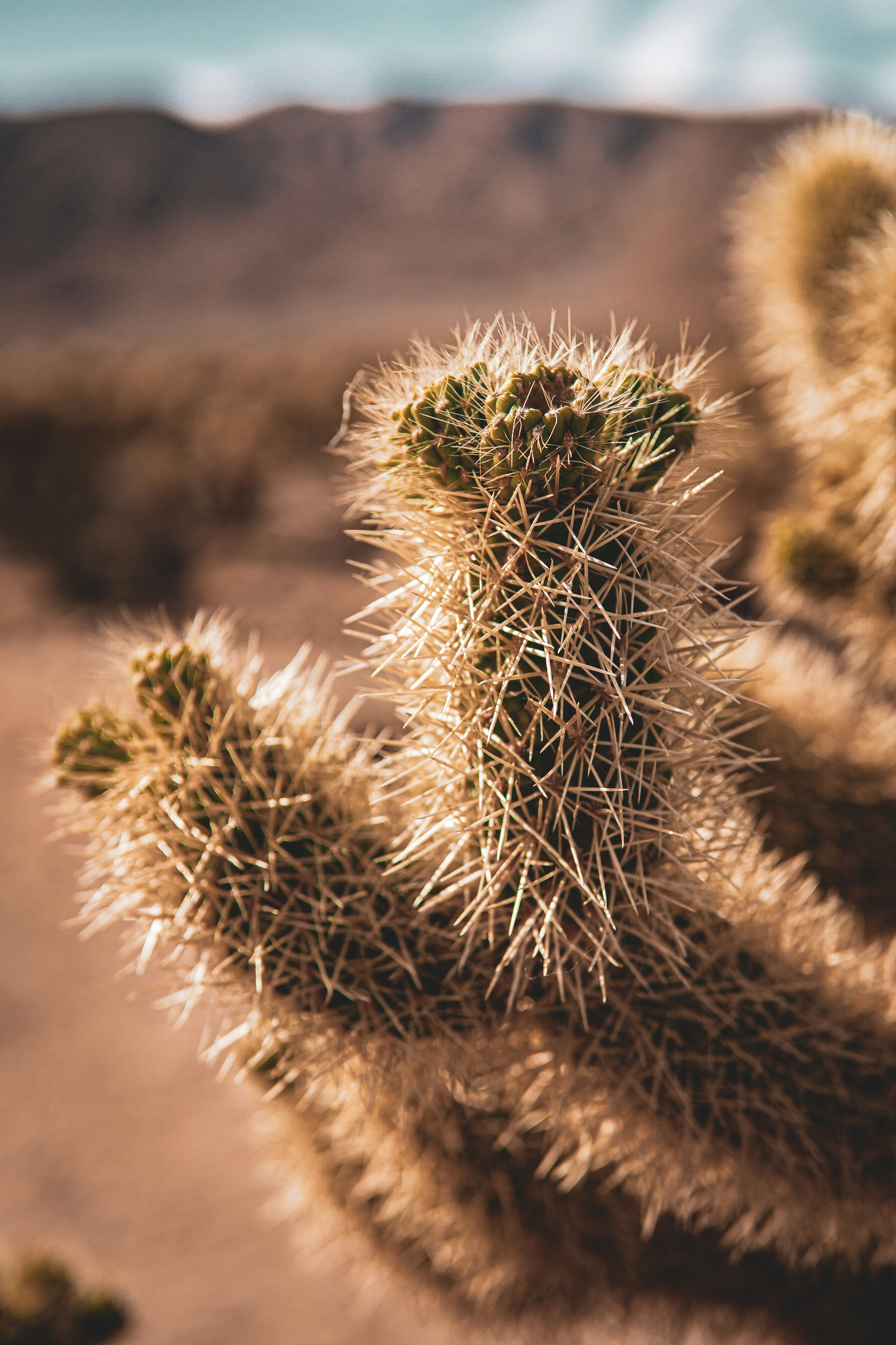 Photo by keepitchassephotography