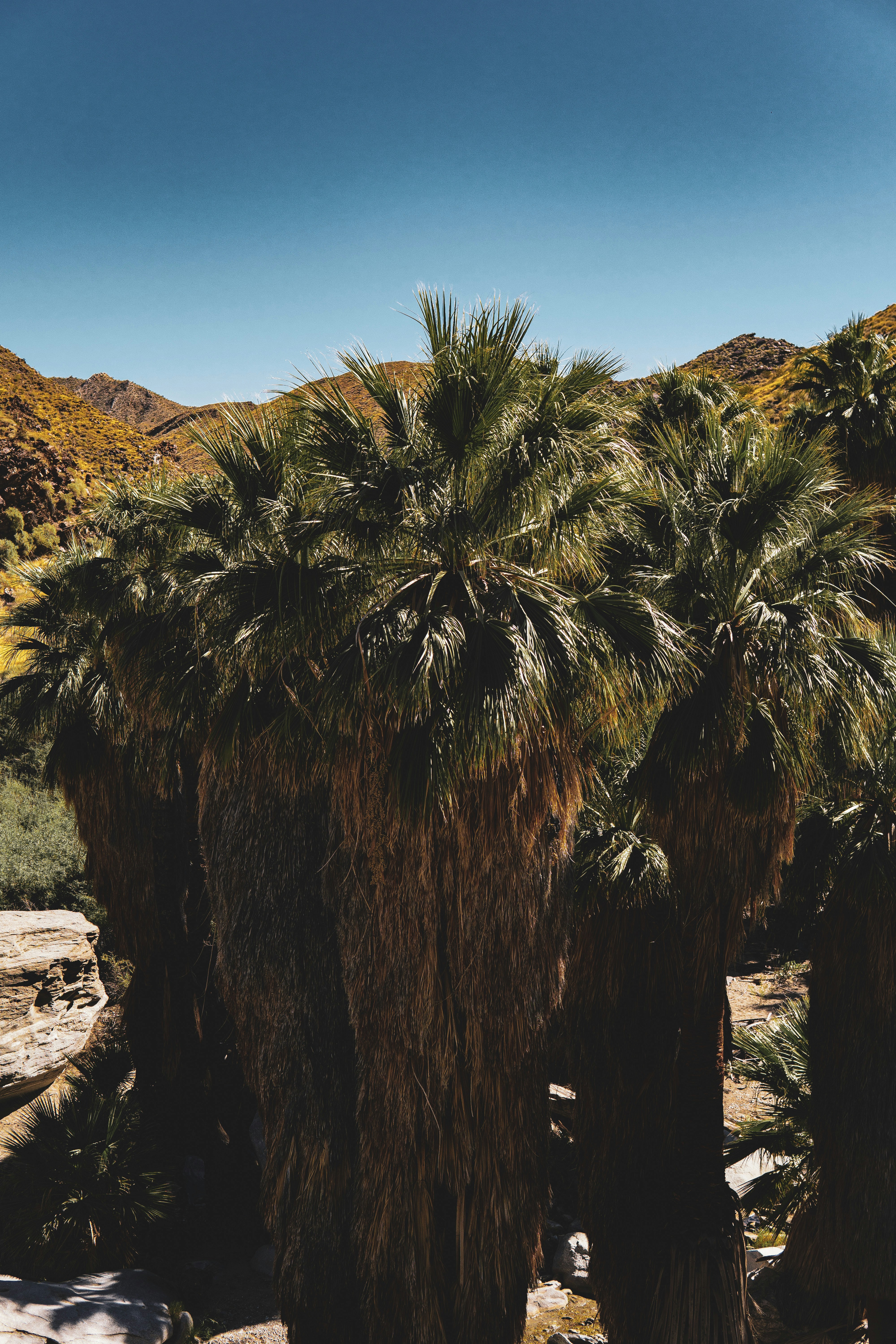 Photo by keepitchassephotography