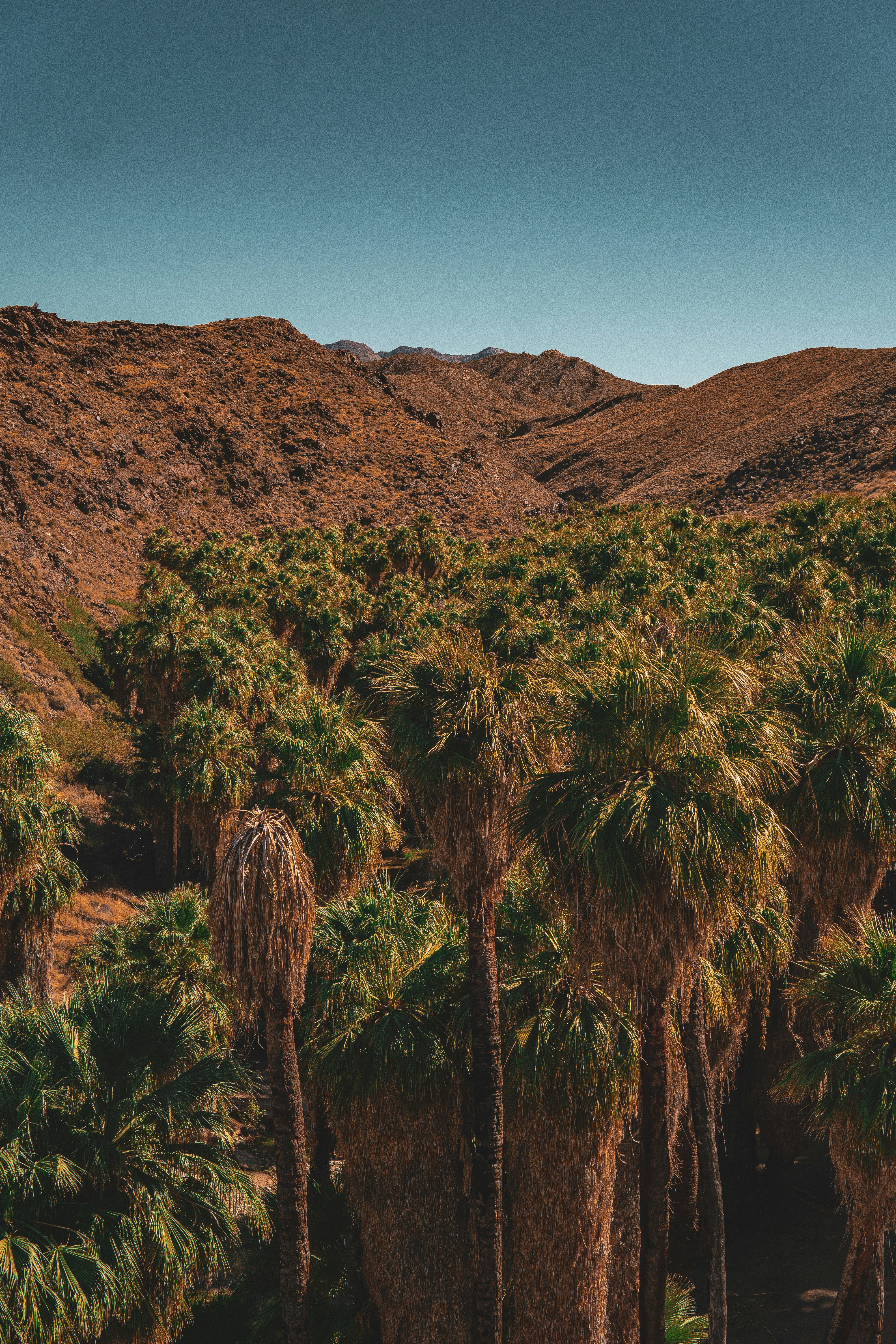 Photo by keepitchassephotography