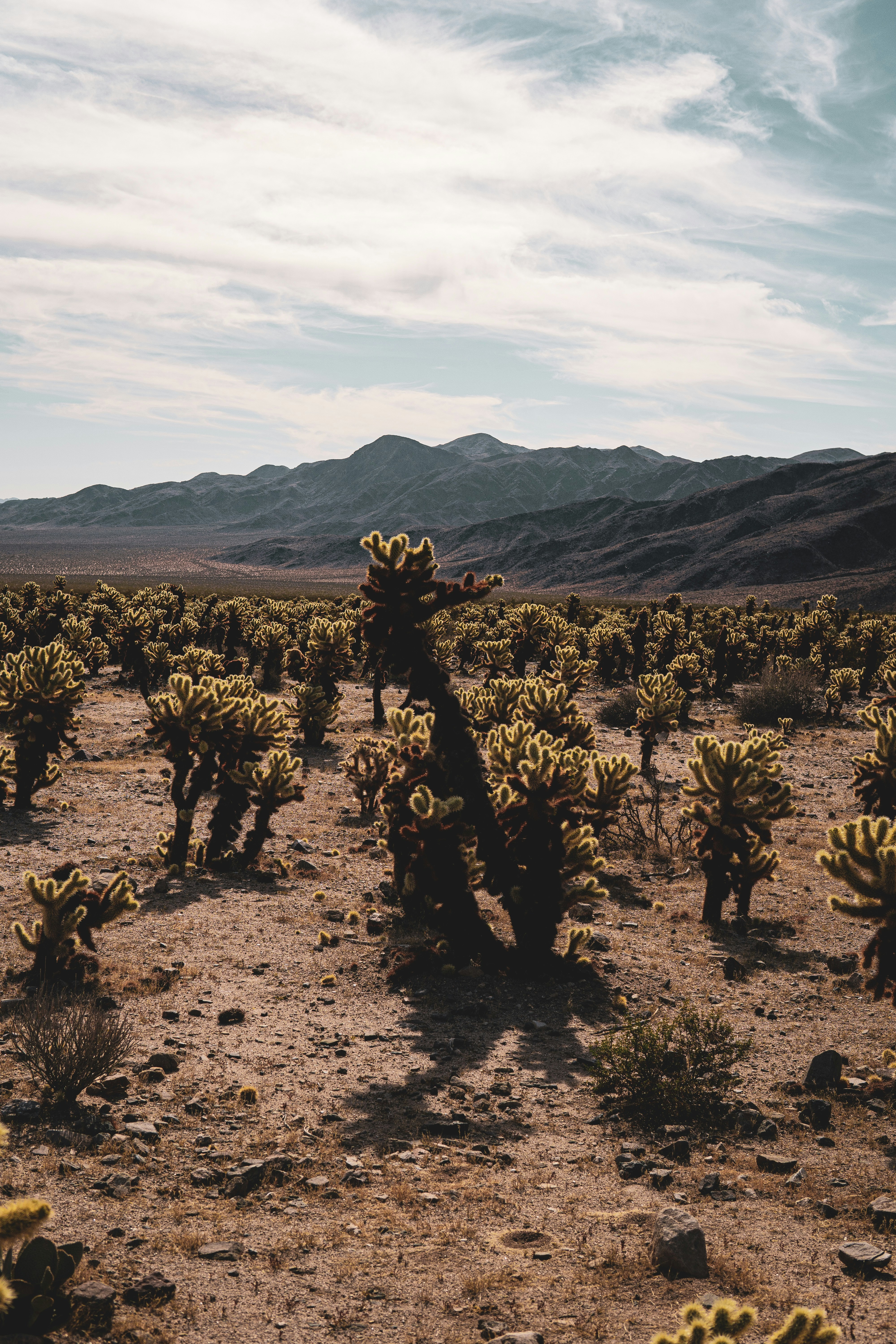 Photo by keepitchassephotography