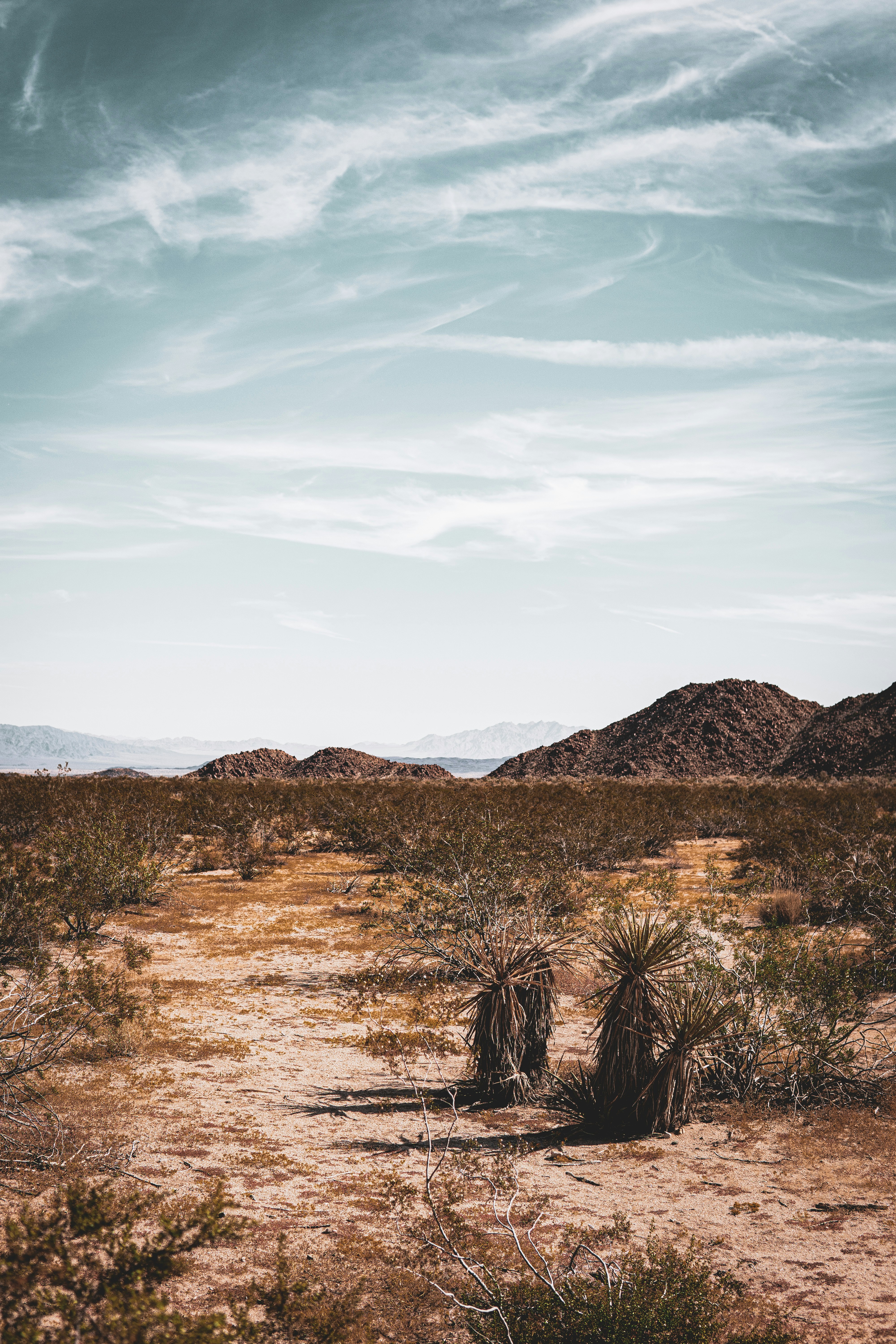 Photo by keepitchassephotography