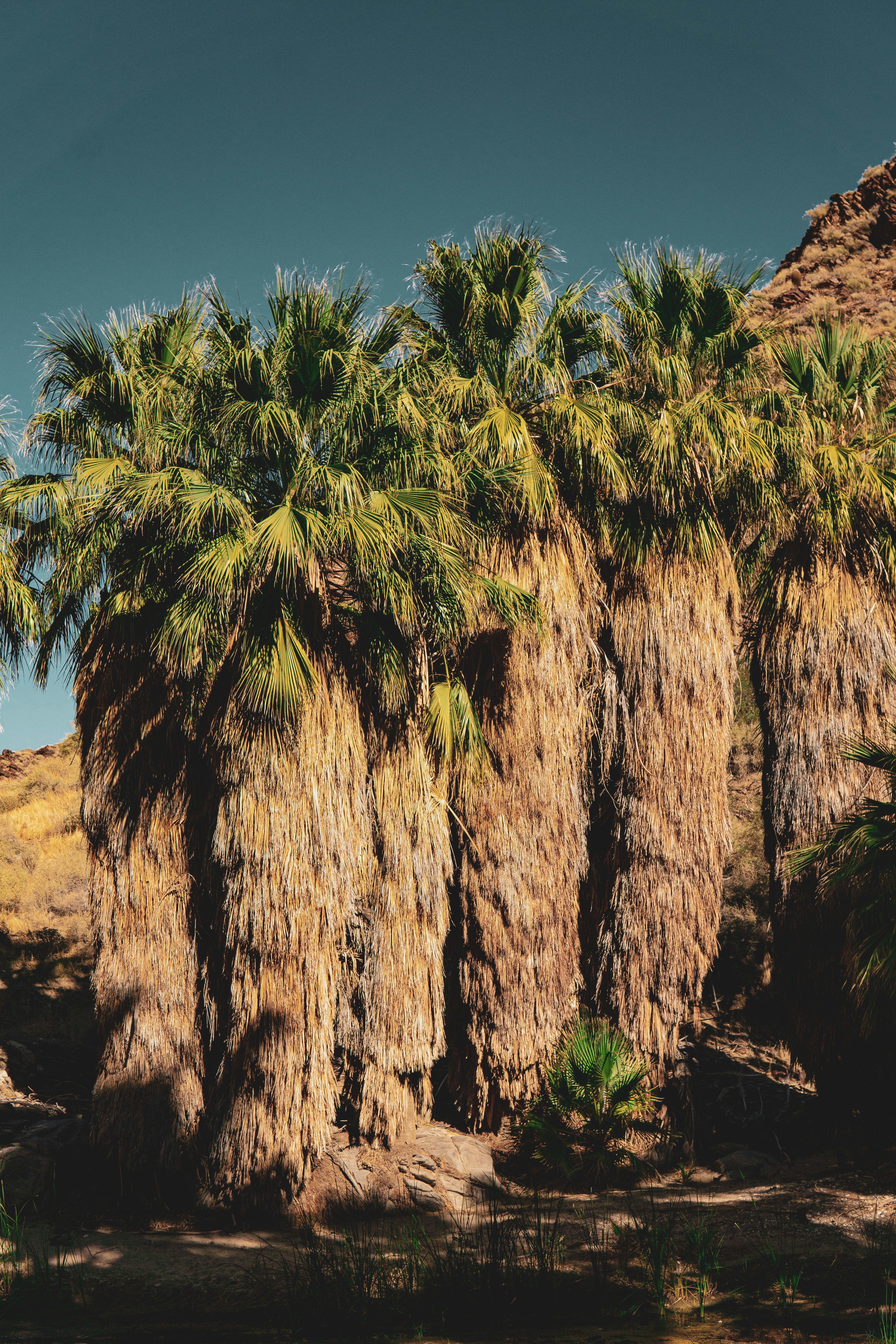 Photo by keepitchassephotography