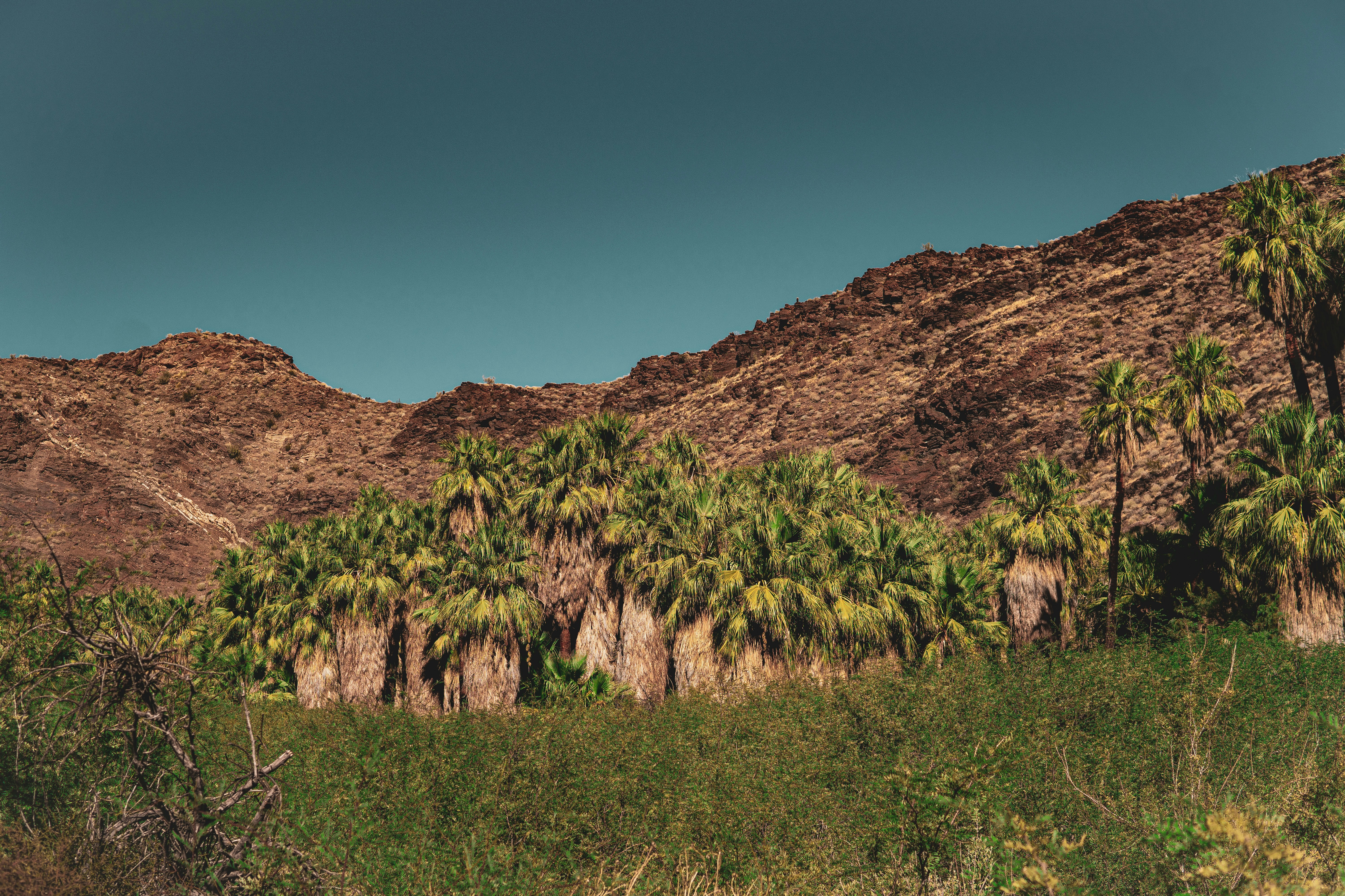 Photo by keepitchassephotography