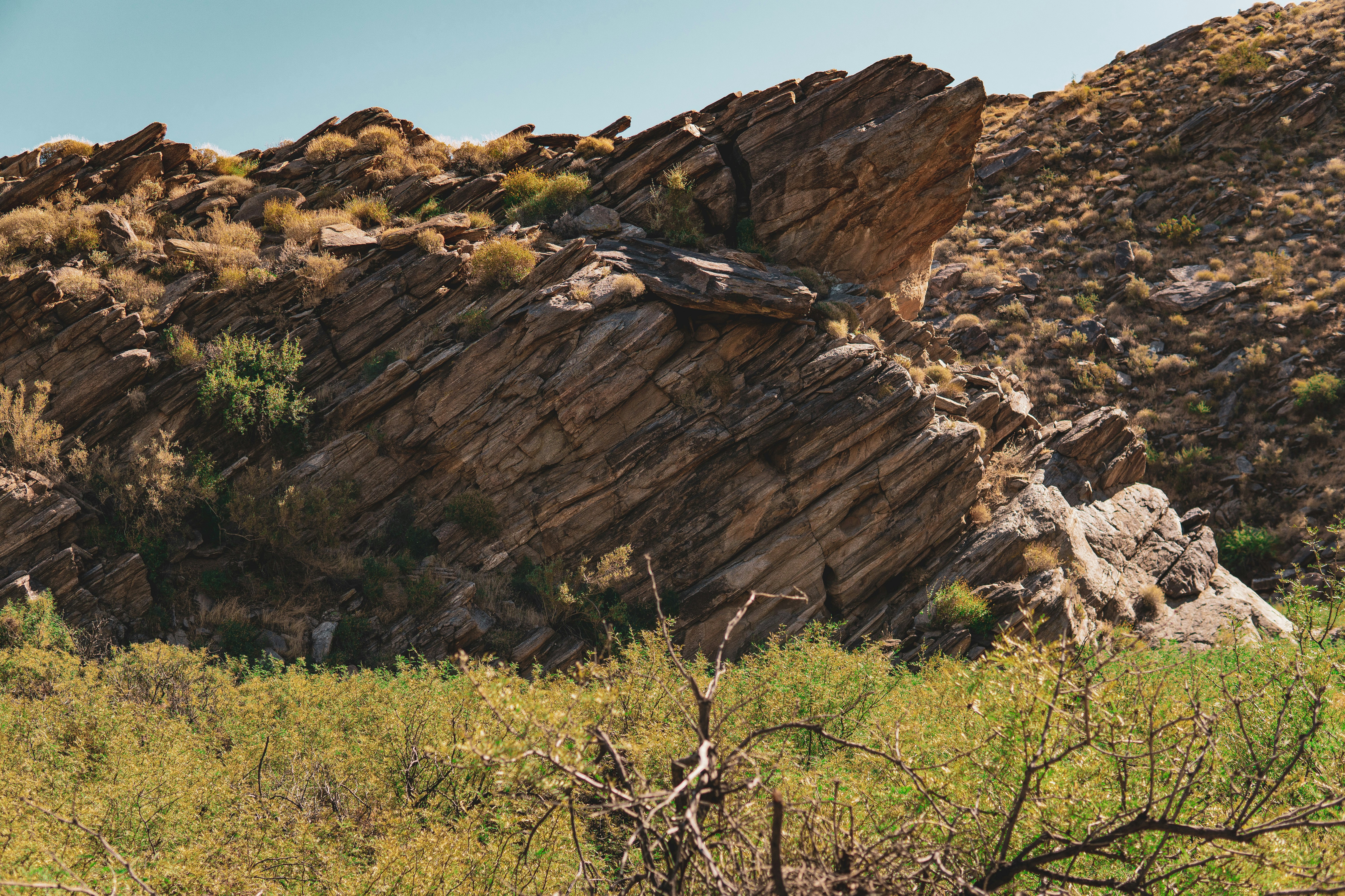 Photo by keepitchassephotography