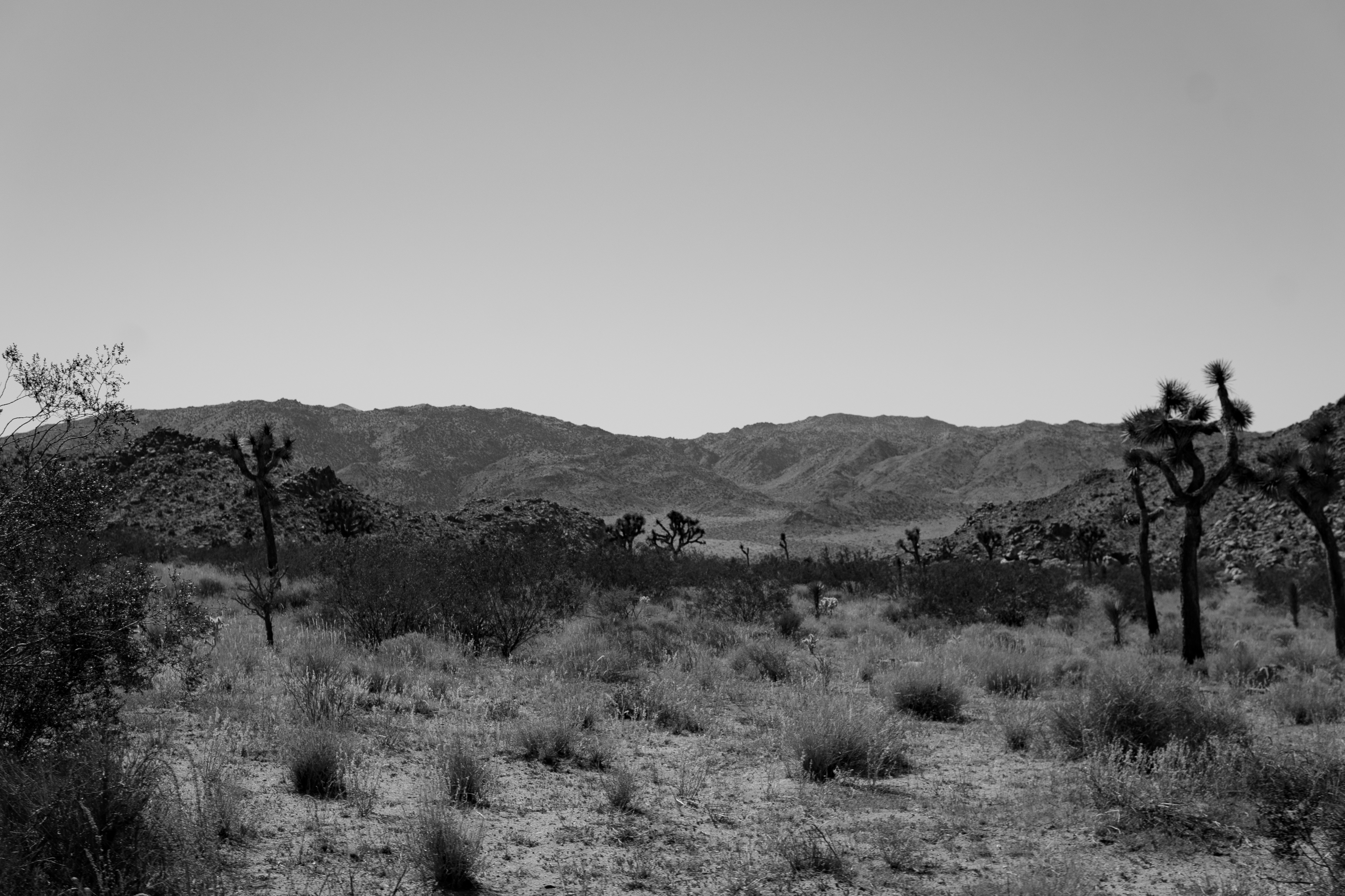 Photo by keepitchassephotography