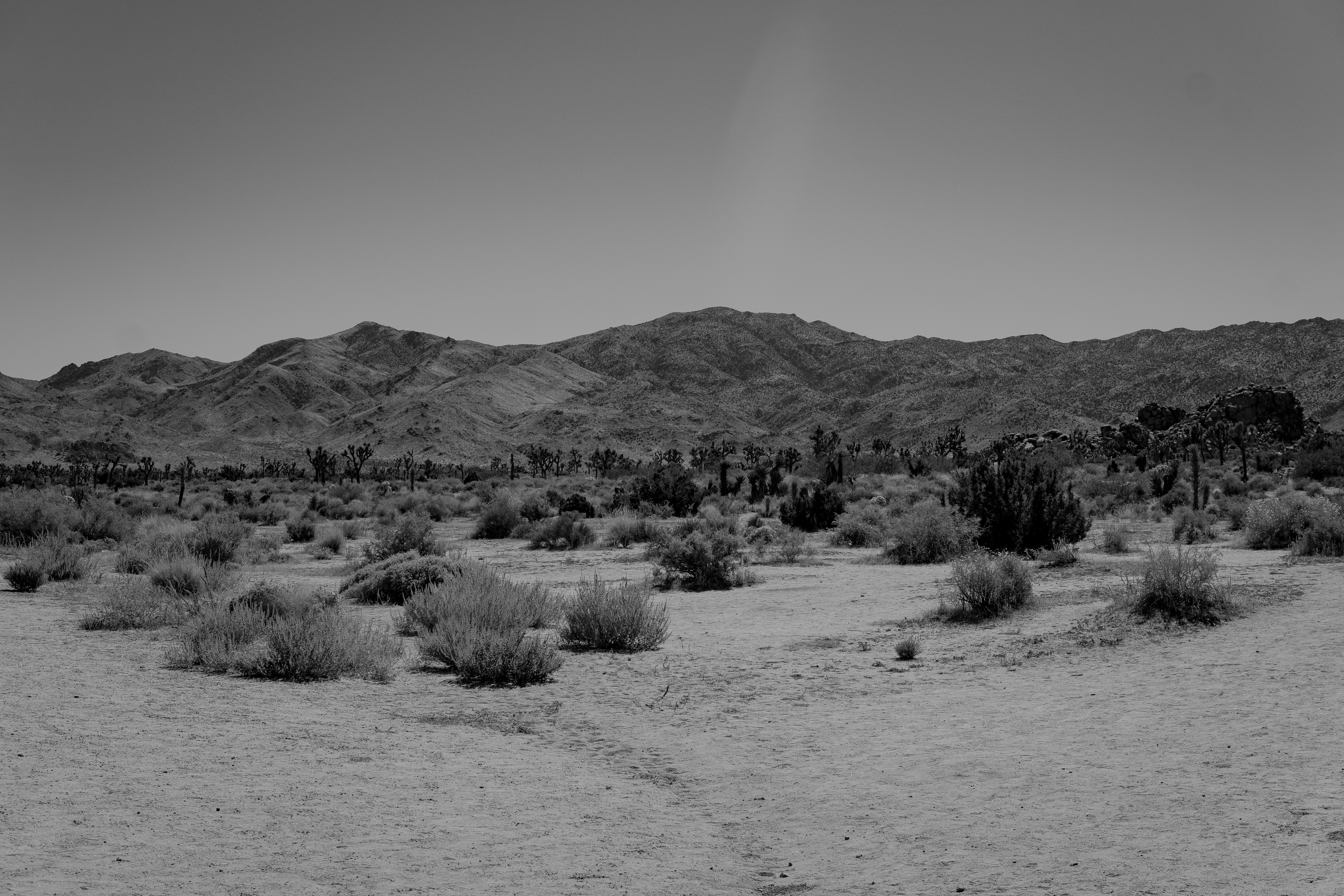 Photo by keepitchassephotography