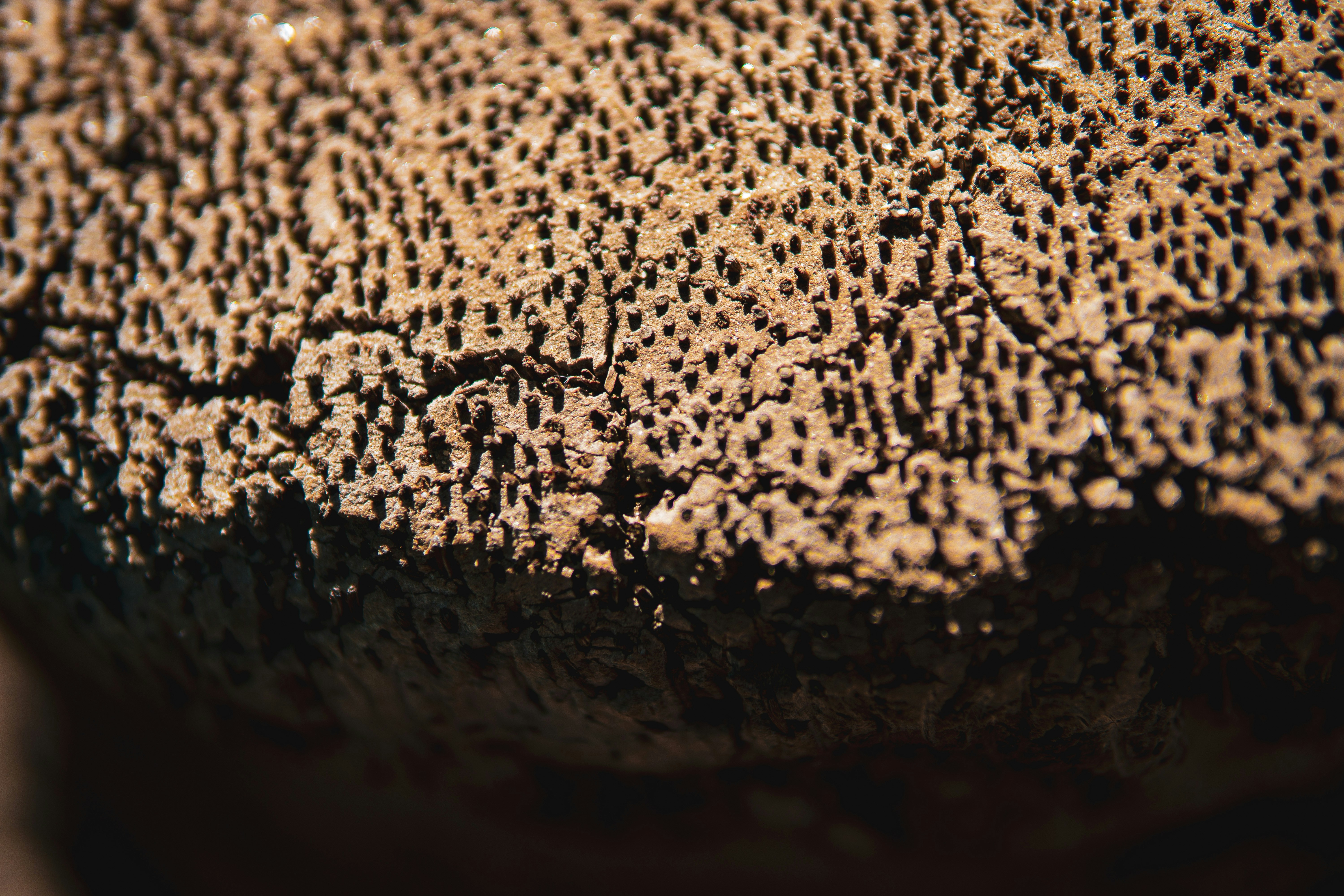 Photo by keepitchassephotography