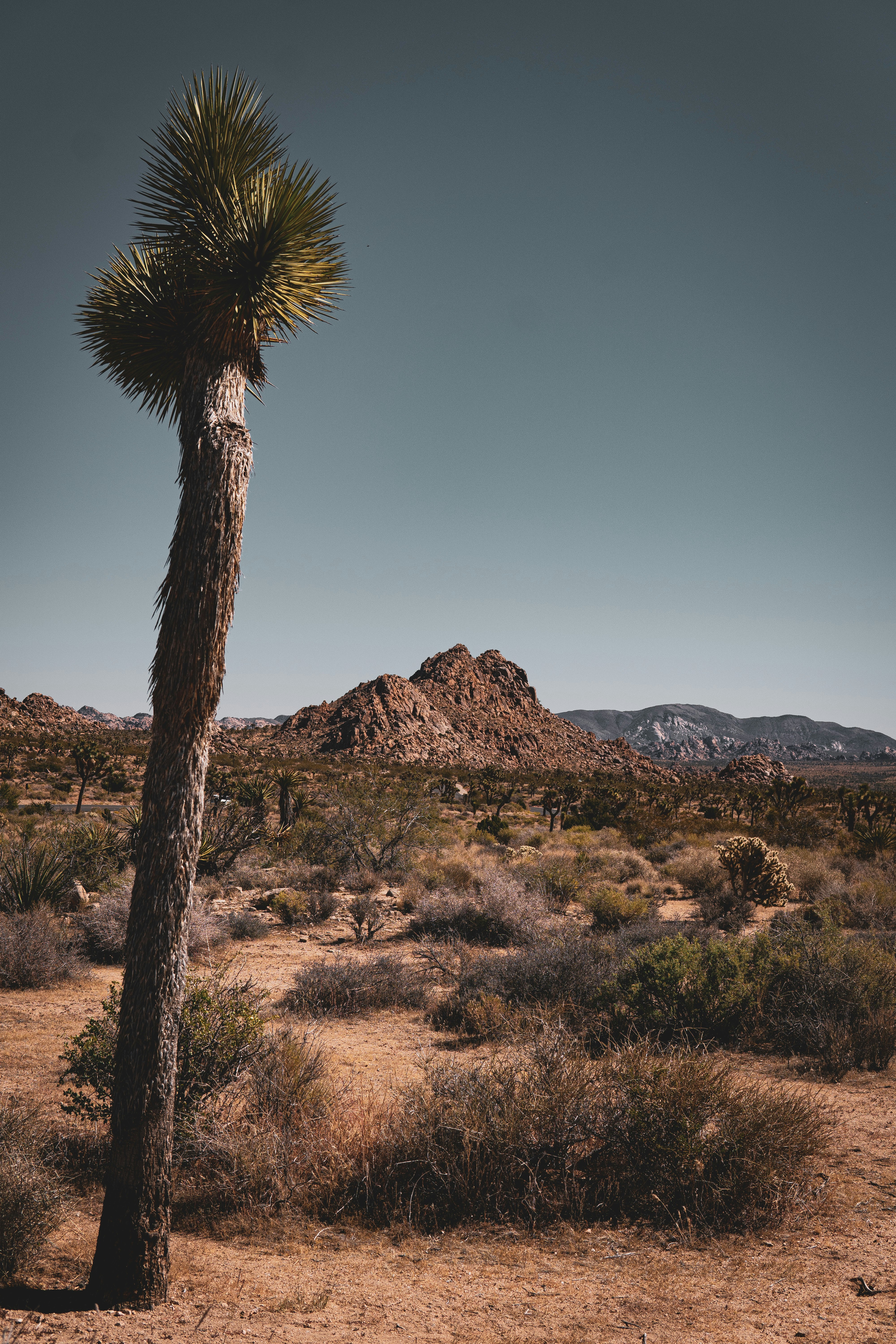 Photo by keepitchassephotography