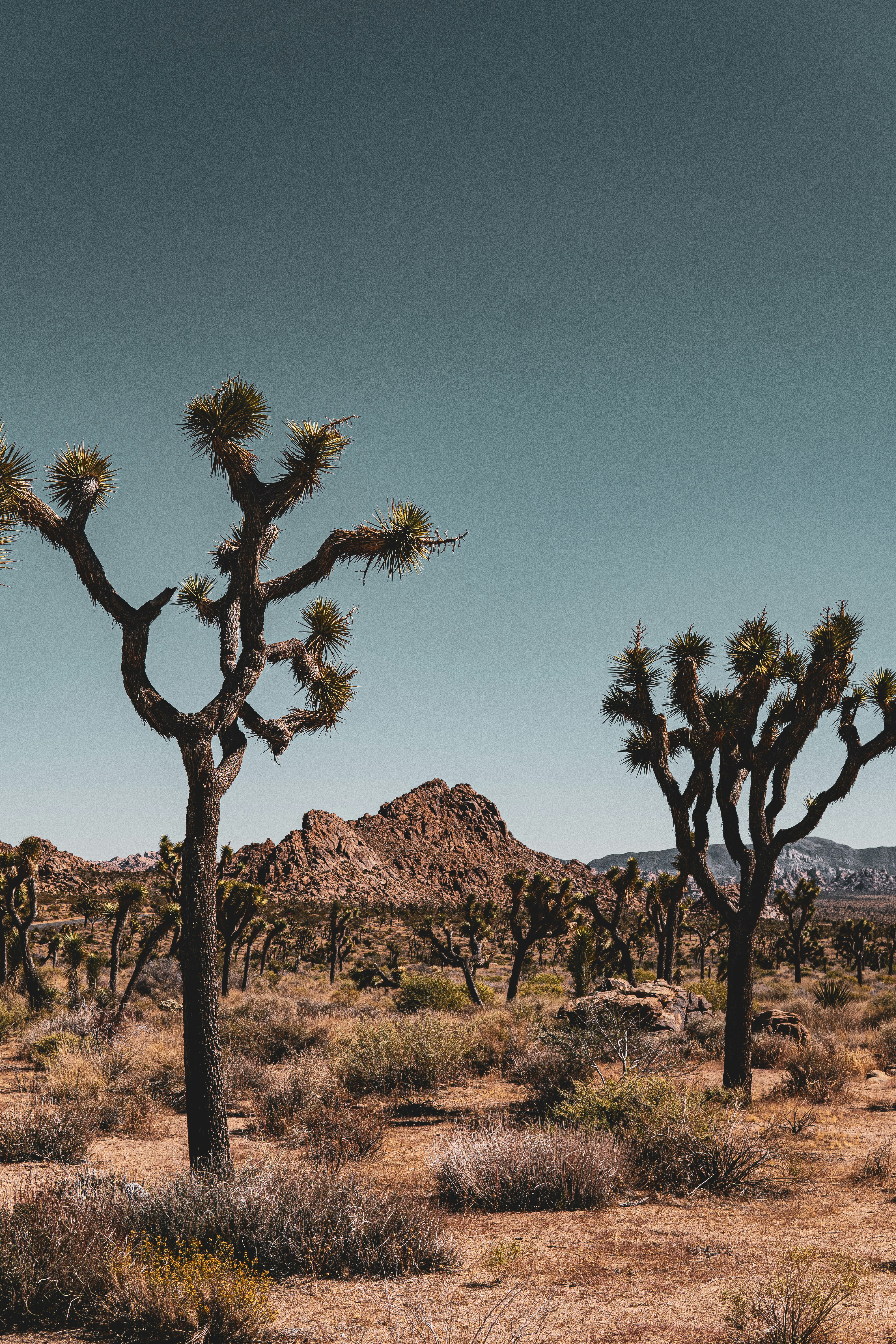 Photo by keepitchassephotography