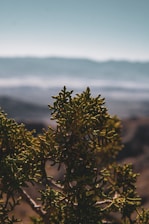 A beautiful landscape photograph capturing nature's essence.